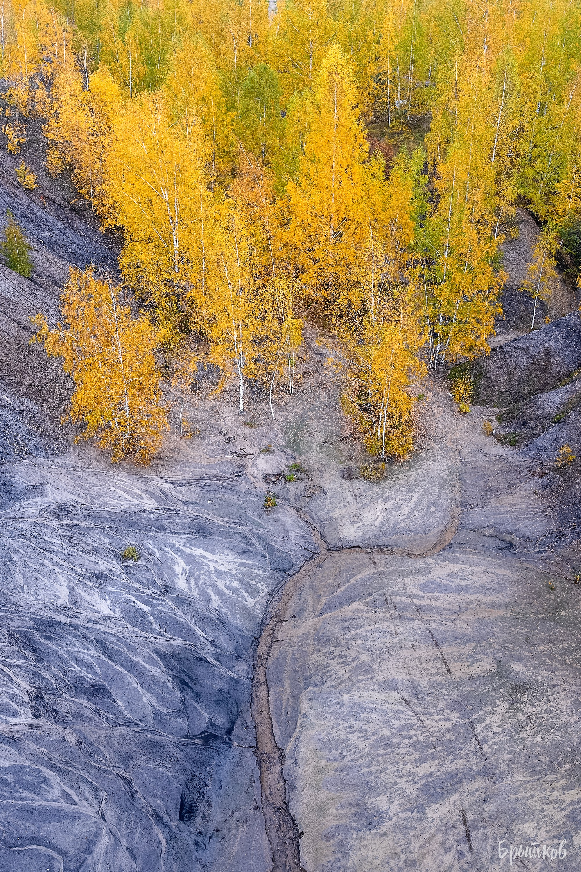 люторичи кондуки осень