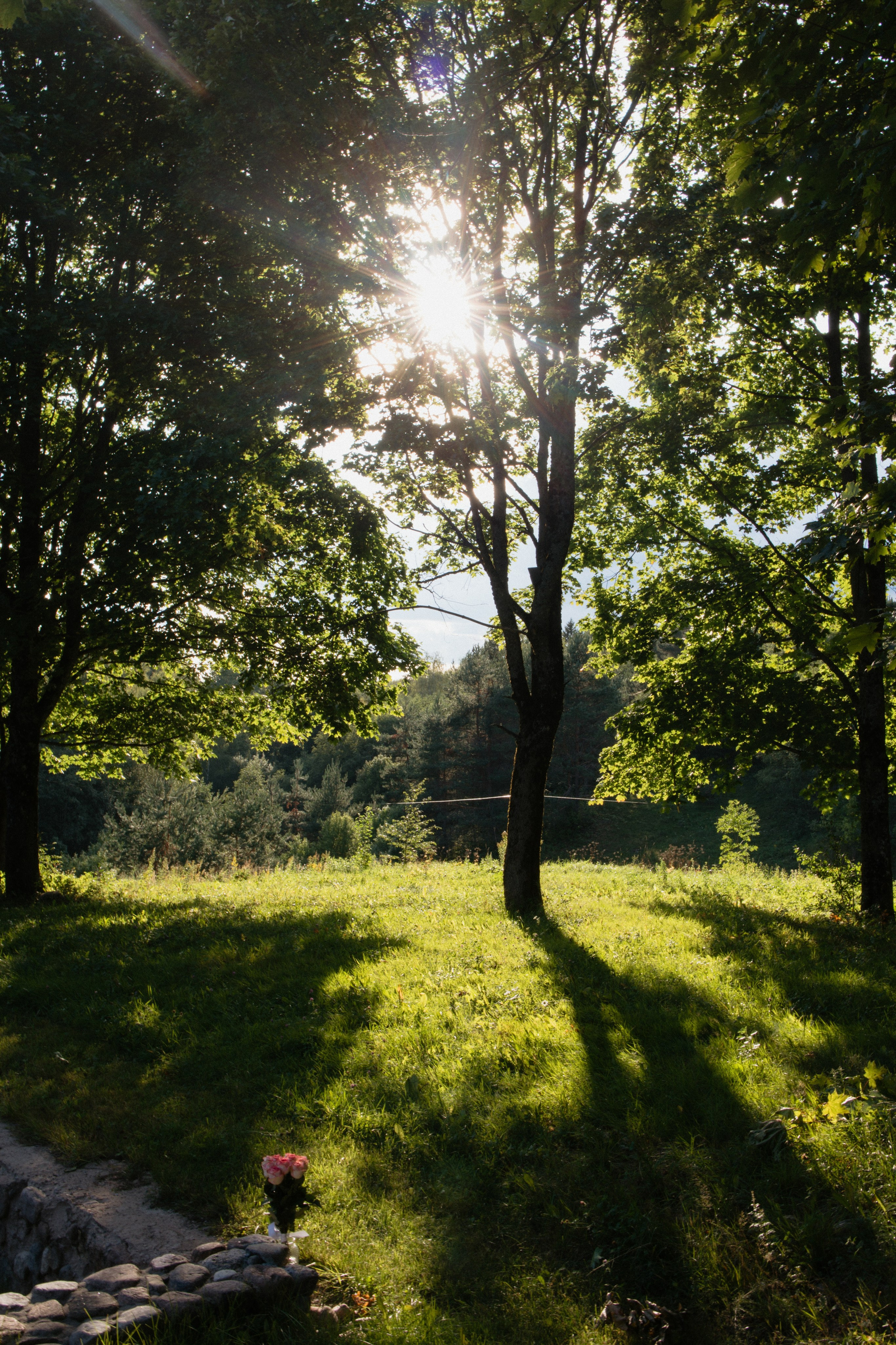 Дима & Катя | Усадьба «Янов Ясень». Свадебный фотограф в Минске Владислав Бабич