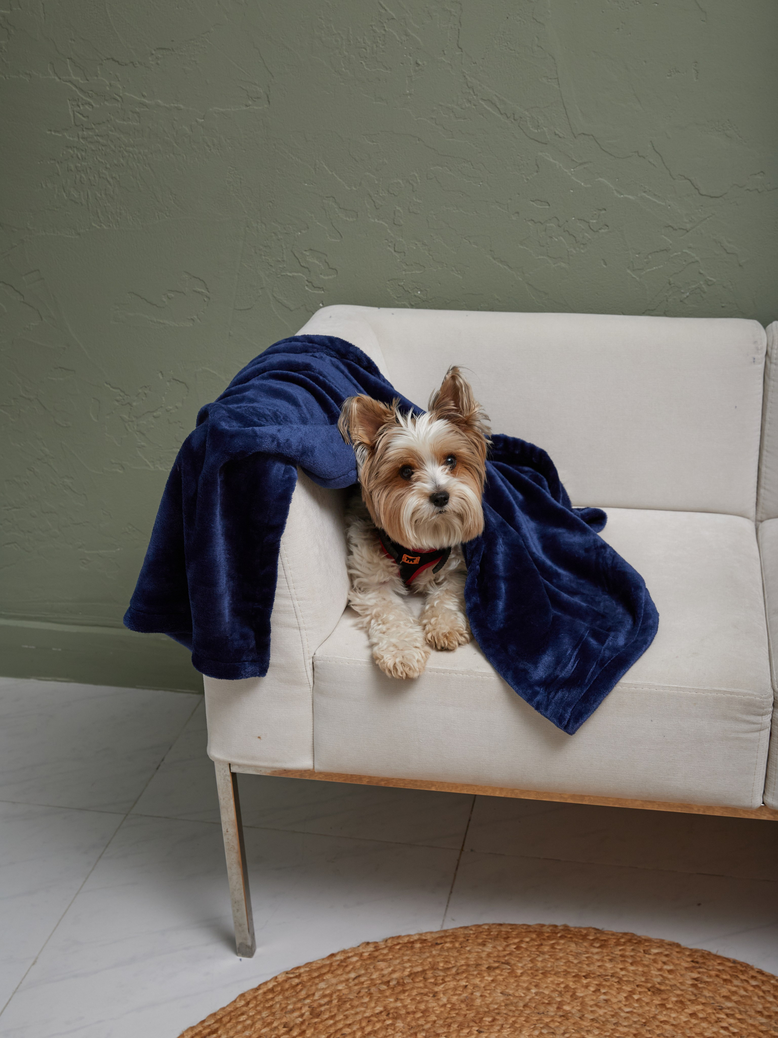 Лежанки. Фотограф