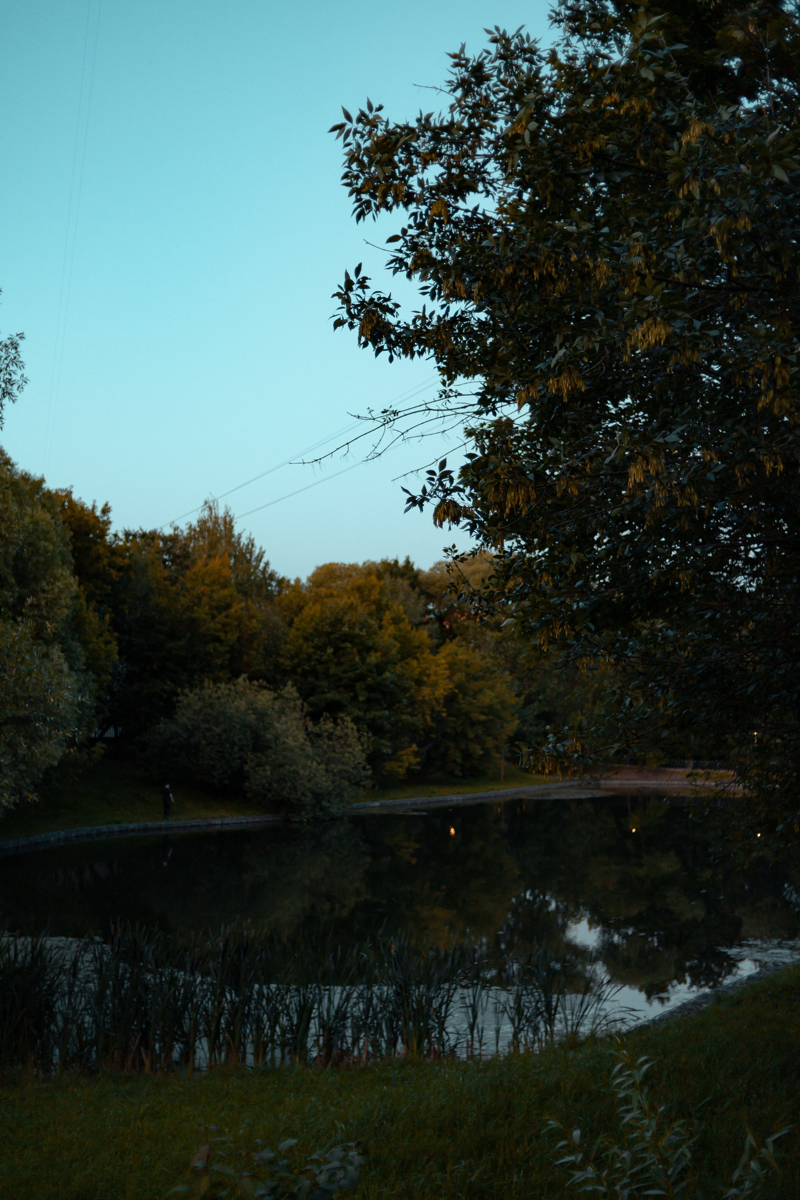 Летний вечер. Папка кадров 📁