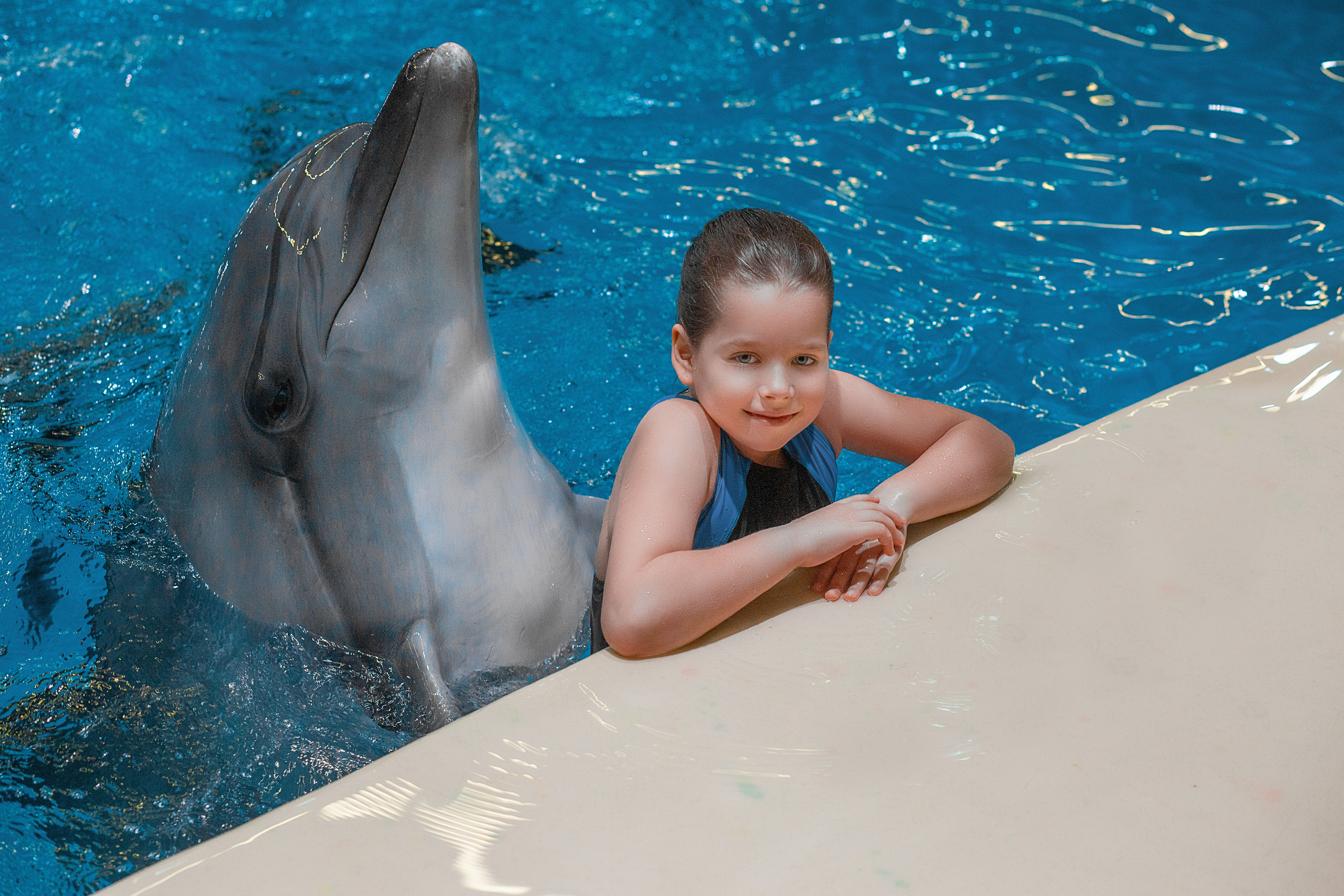 Фотосессия с дельфинами. Фотосессия с лошадьми в Нижнем Новгороде