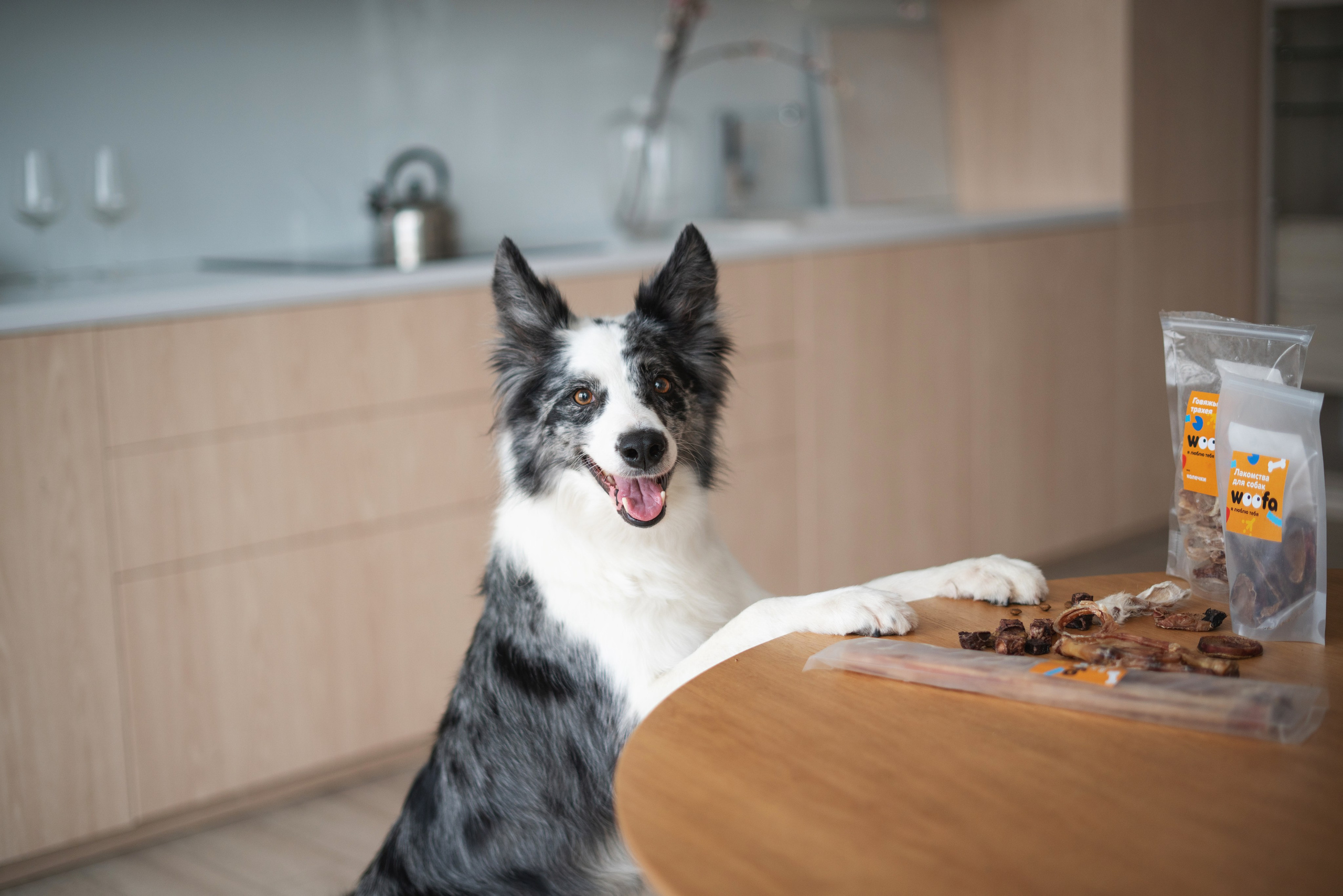Лакомства Woofa. Фотограф анималист Осипчикова Мария