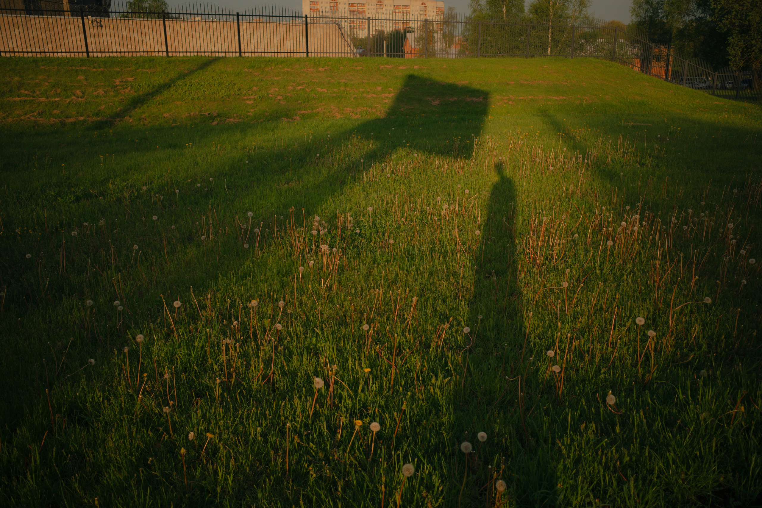 STREET. Портретный и репортажный фотограф в Санкт-Петербурге Максим Пашков