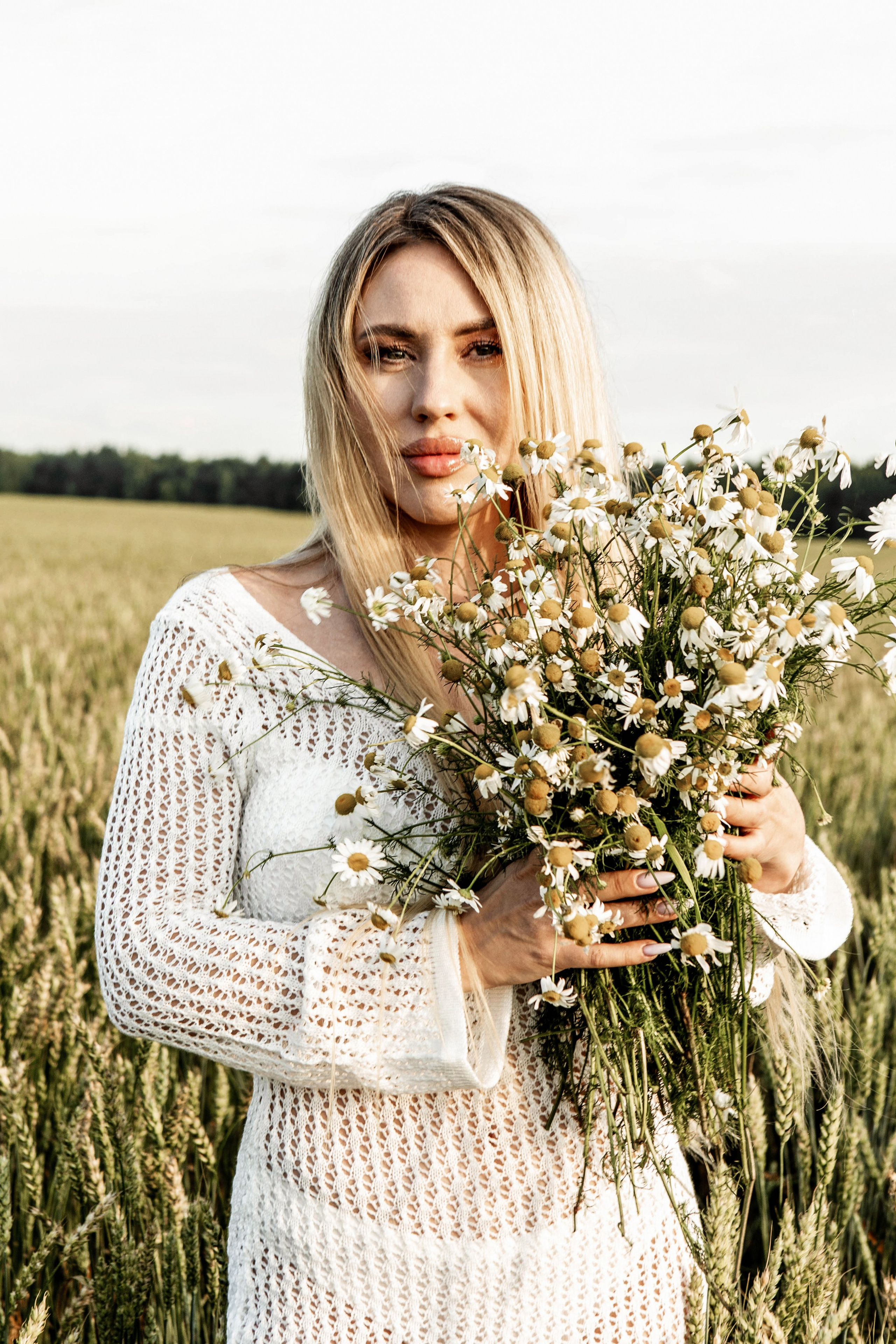 Ромашки. Фотограф Екатерина Голицына