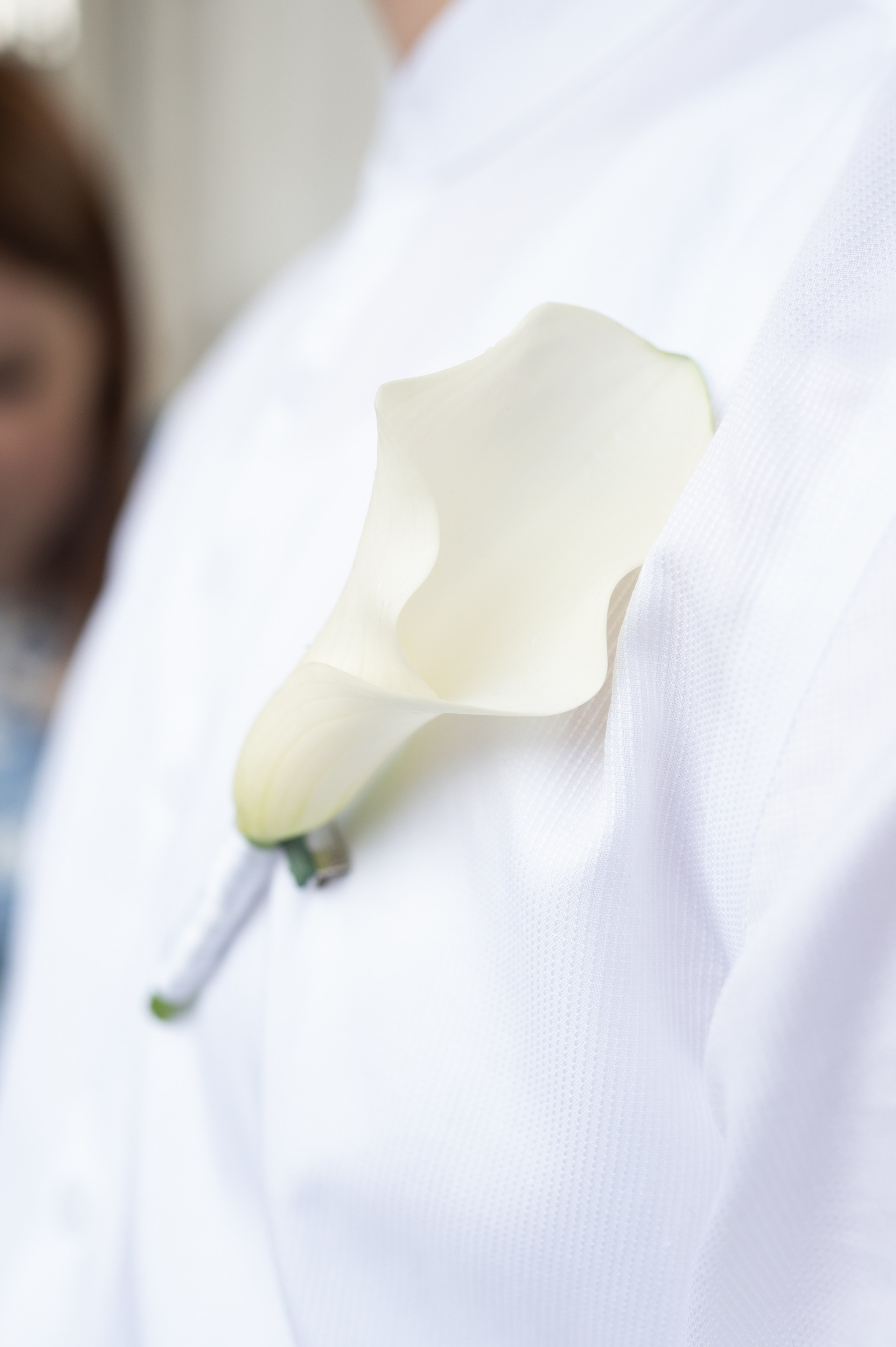 Свадебная фотосессия. Фотограф в Санкт-Петербурге Anna Balashkova