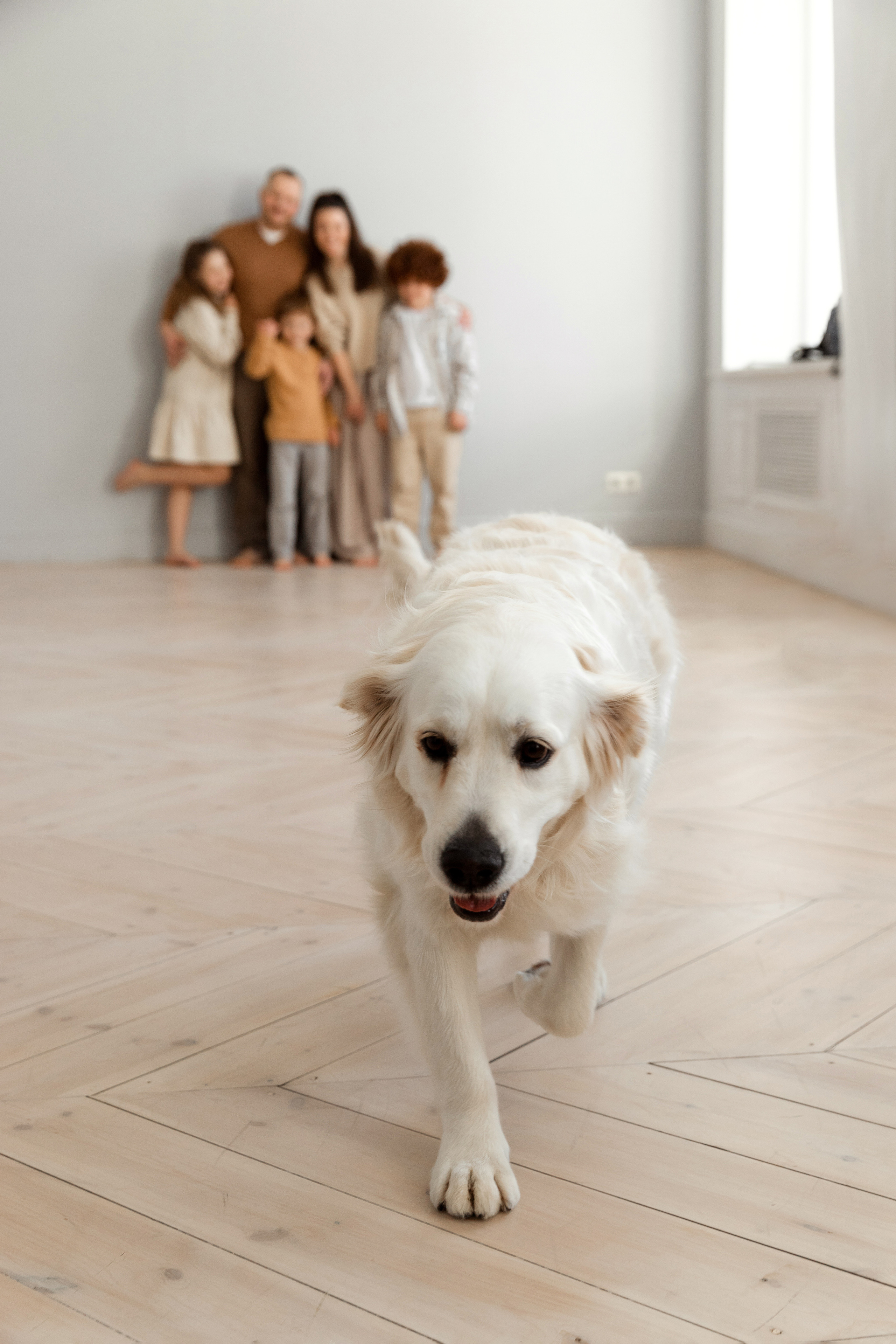 Семейная съемка в студии Villa Nina. Семейный фотограф в Екатеринбурге Маргарита Курносова