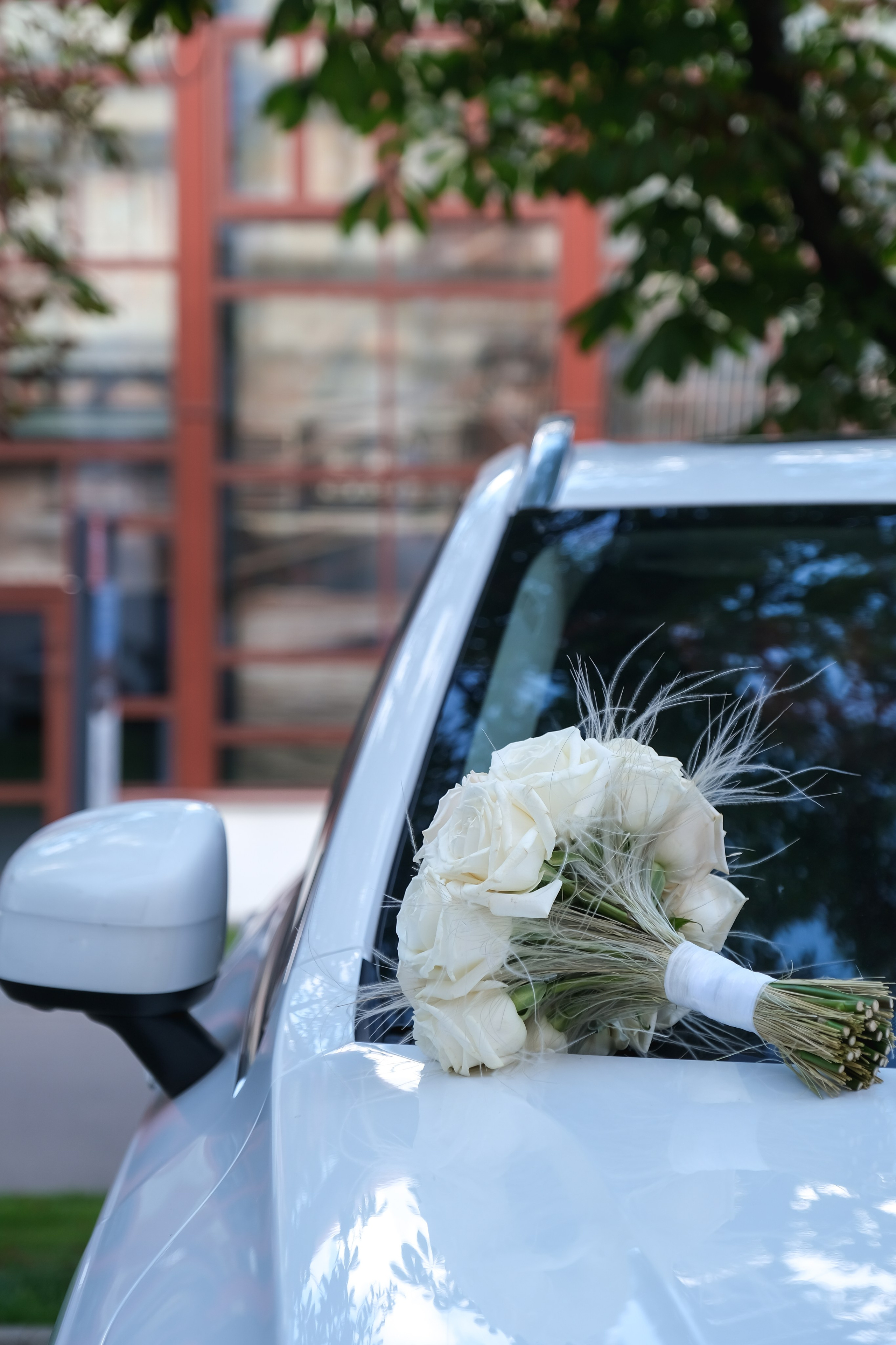 Свадьба. Семейный и детский фотограф в Москве Светлана Потемкина