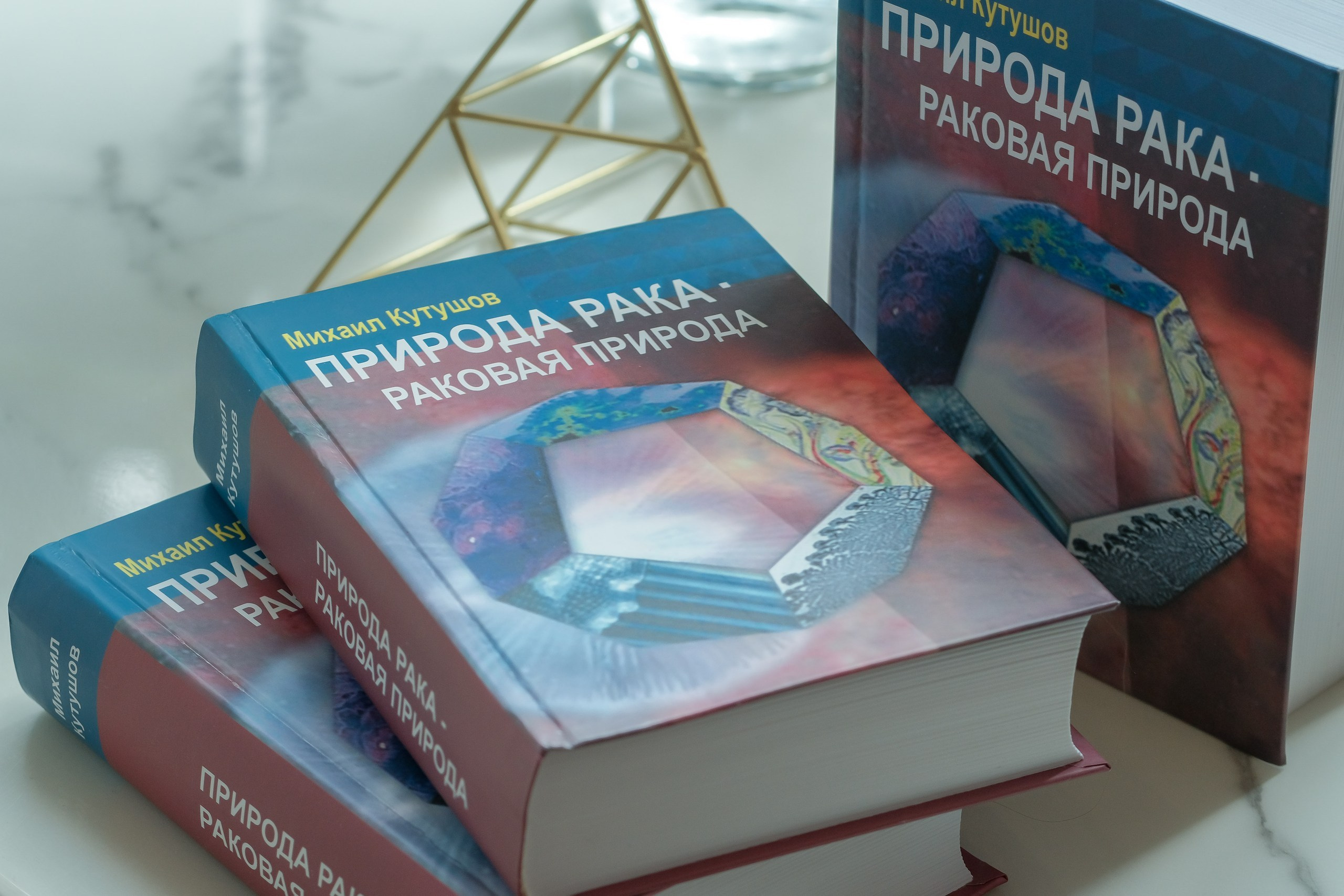 Фоторепортаж | Открытый диалог с Кутушовым М.В. Любовь Потапова