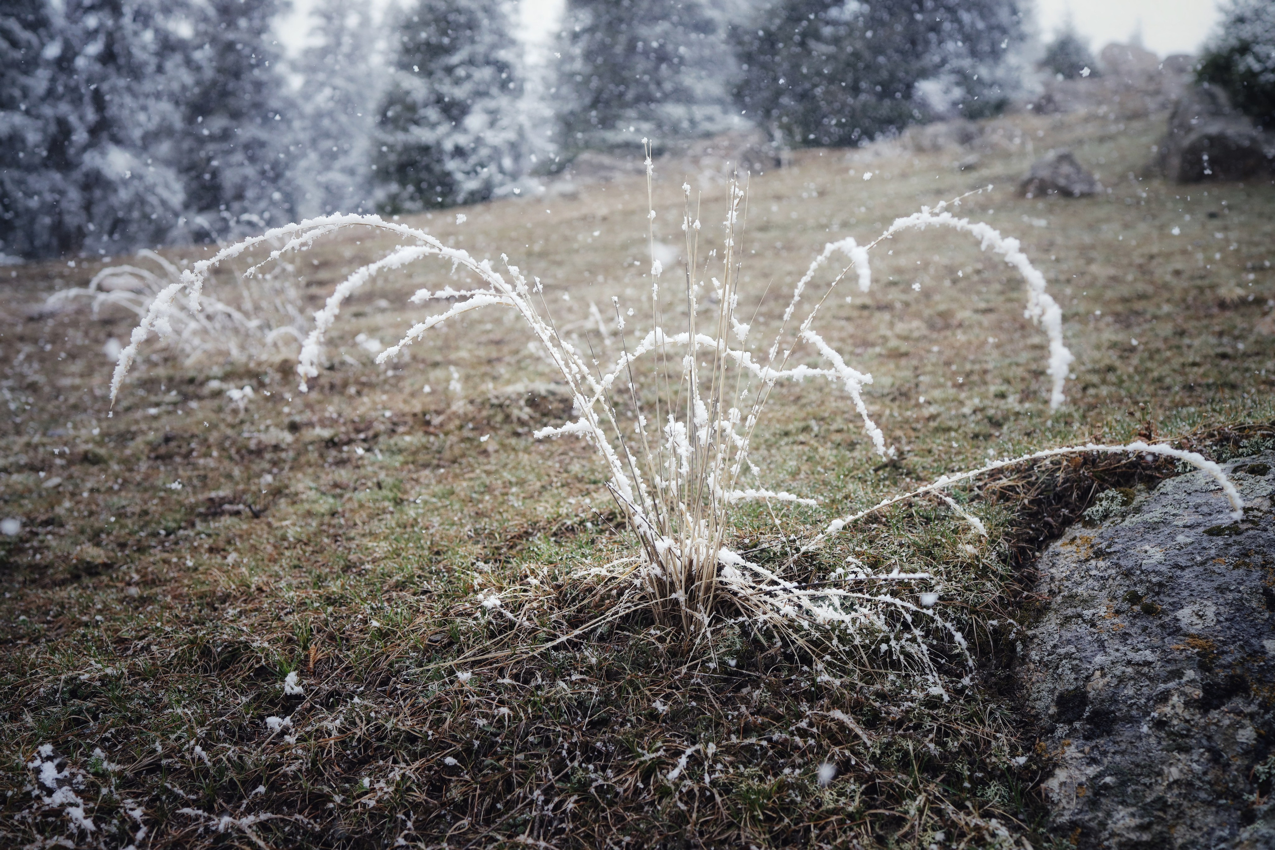 Around Issyk-Kul / Spring, Summer, Fall, Winter… and Spring. POLINA MÔMOT