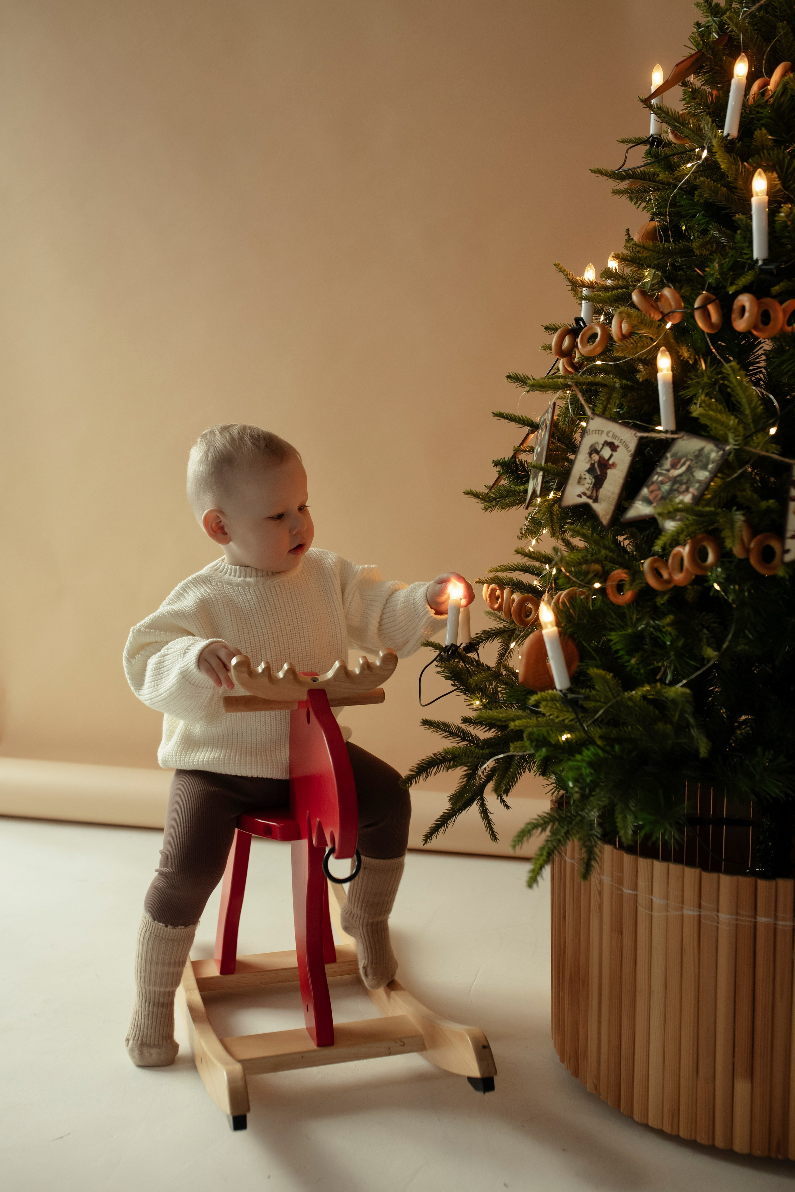 Новогодняя. Дьячкова Мария фотограф