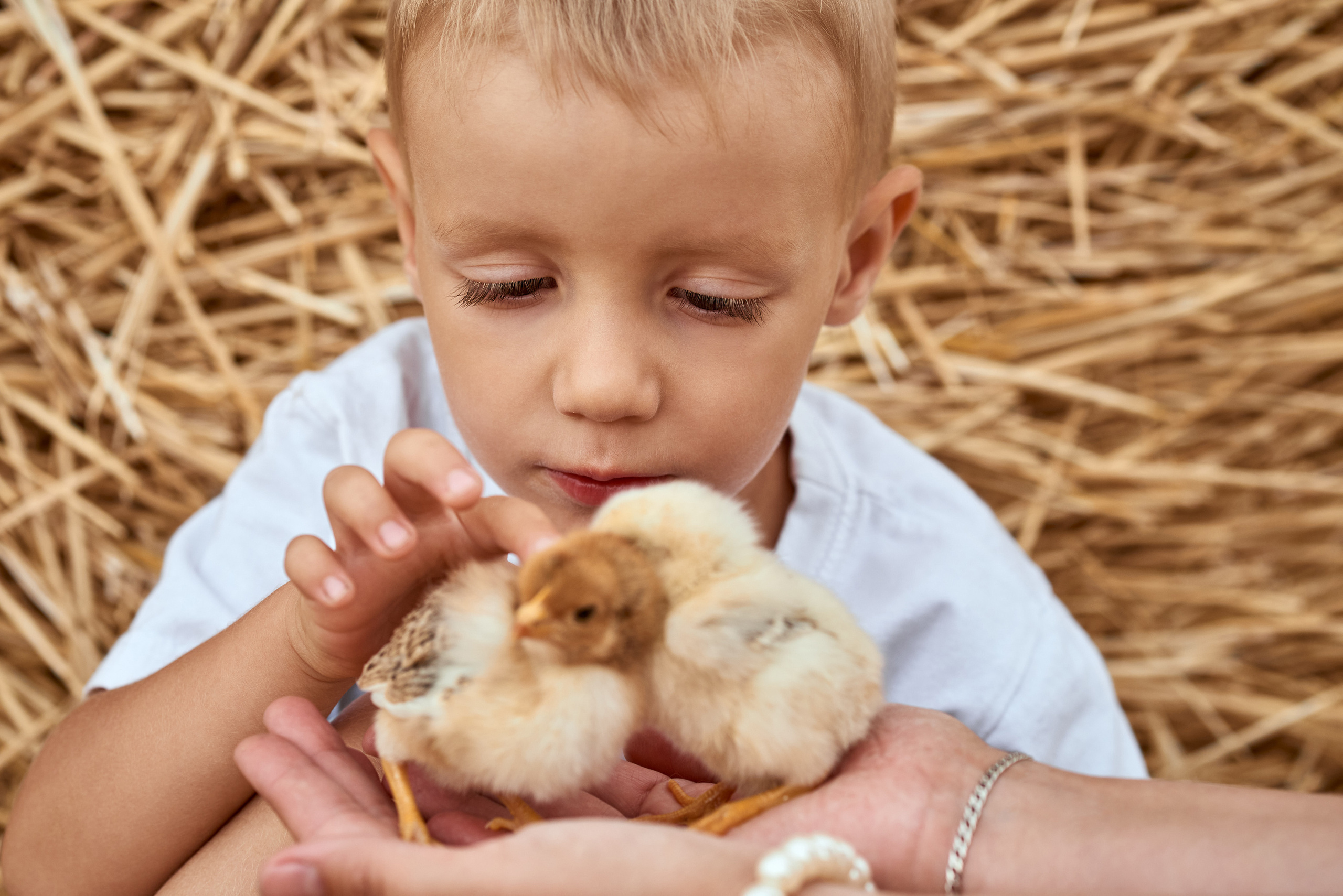 Таня и Костик. Свадебный, семейный, детский фотограф в Острогожске Татьяна Волошина