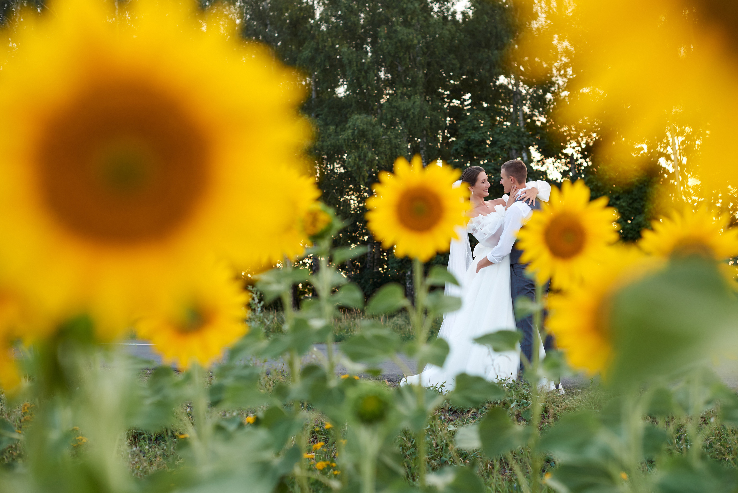 Свадьба. Свадебный, семейный, детский фотограф в Острогожске Татьяна Волошина