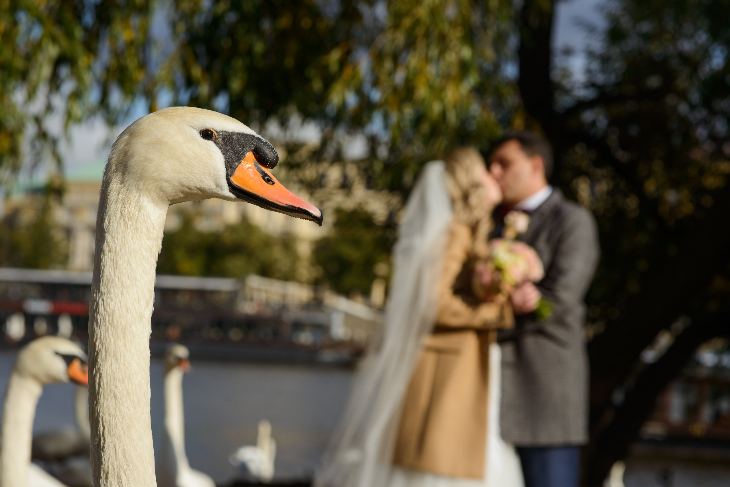 Свадьба Сергея и Ирины в Праге. Свадебный, семейный, детский фотограф в Острогожске Татьяна Волошина