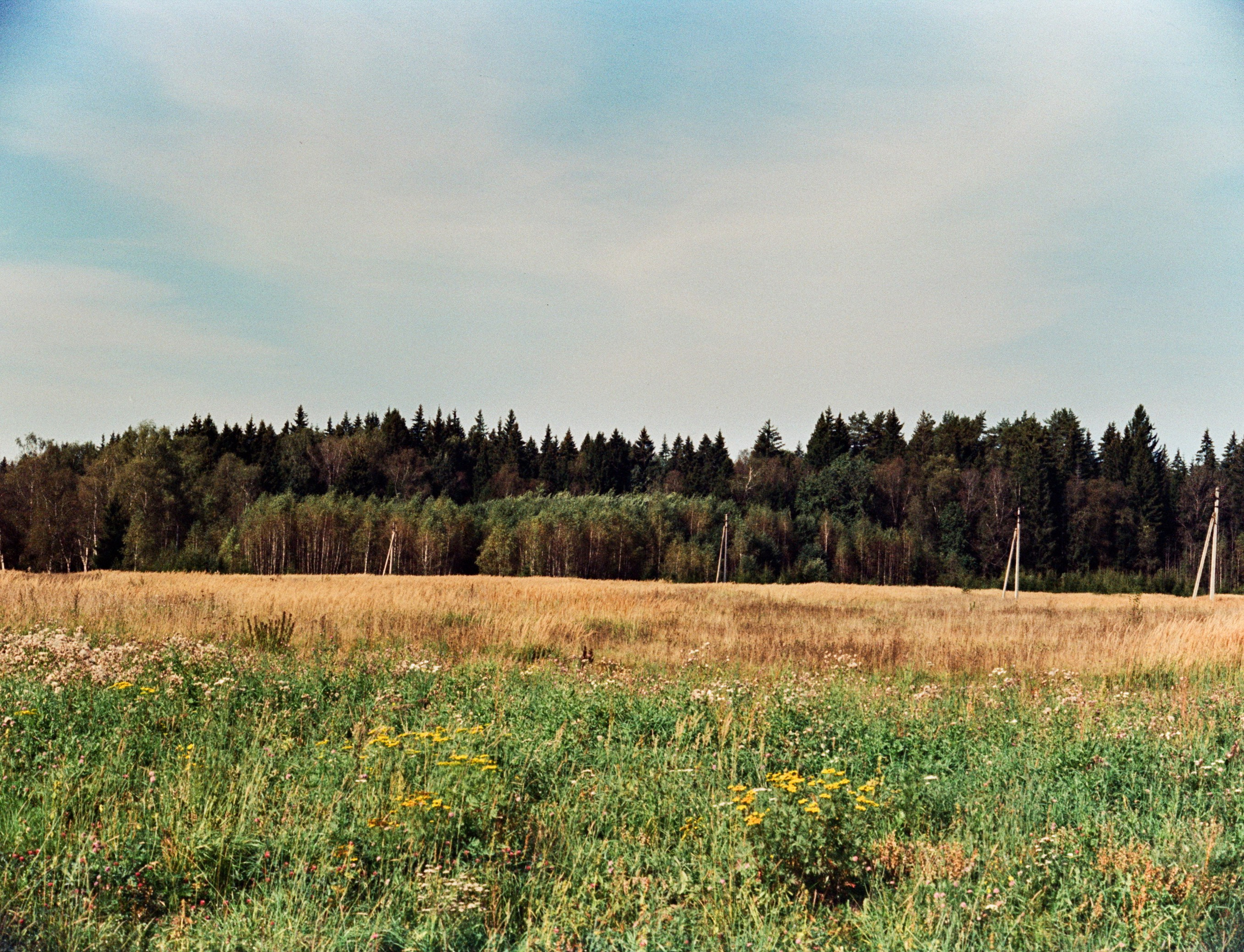 Nikon F100 примеры фотографий