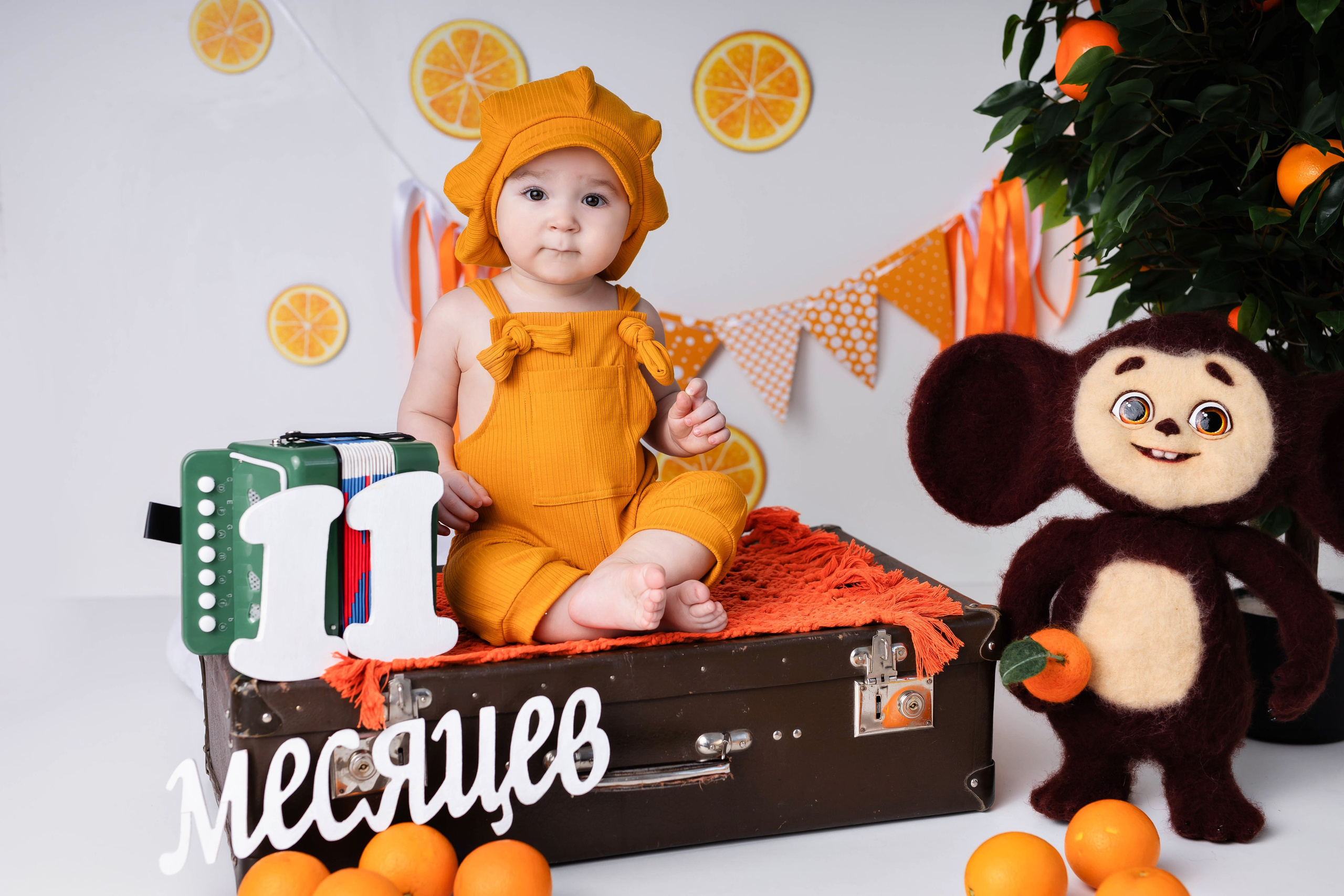 Апельсины. Фотограф Болотова Иветта