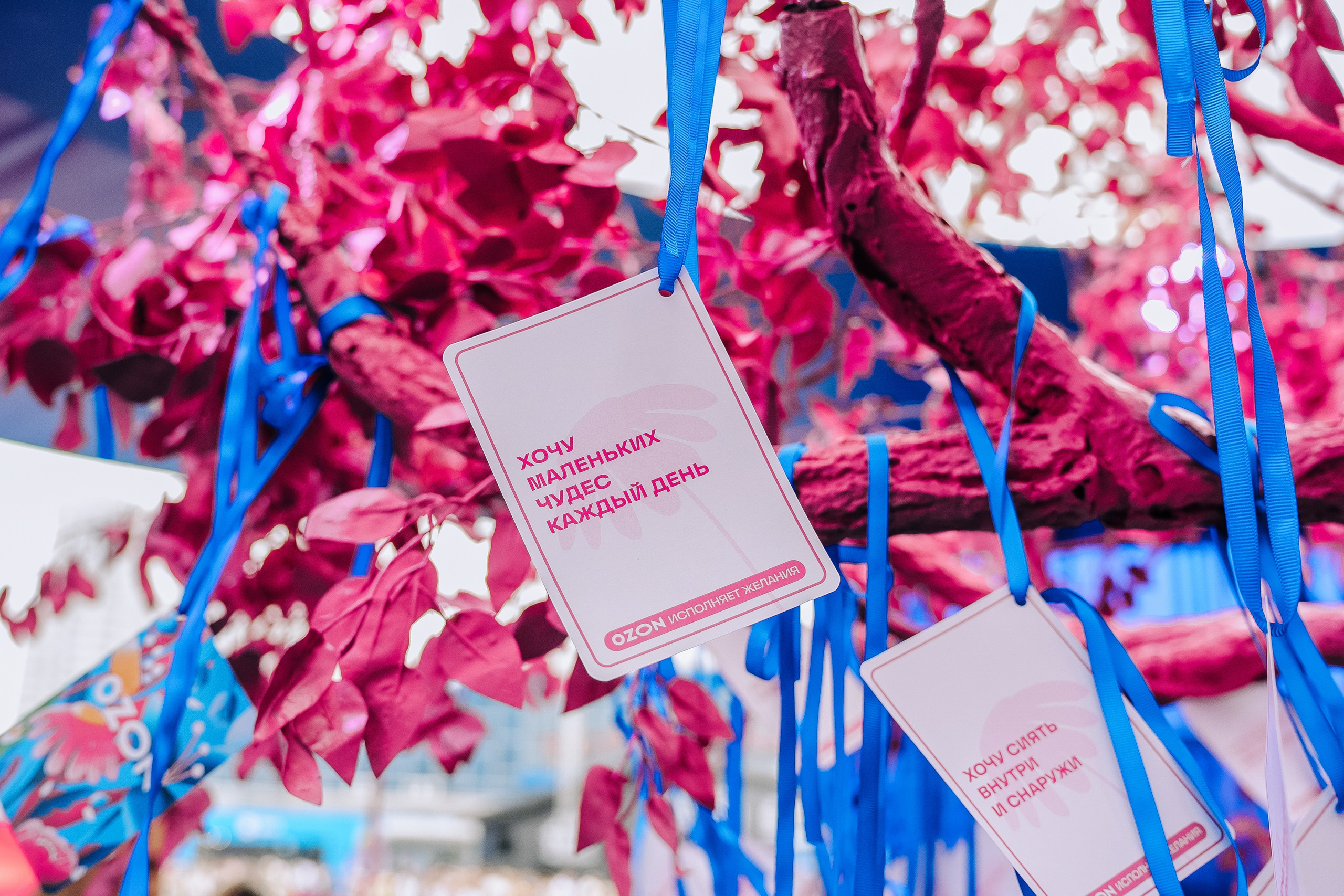 OZON x VK FEST. Репортажный фотограф Зуев Роман г. Челябинск