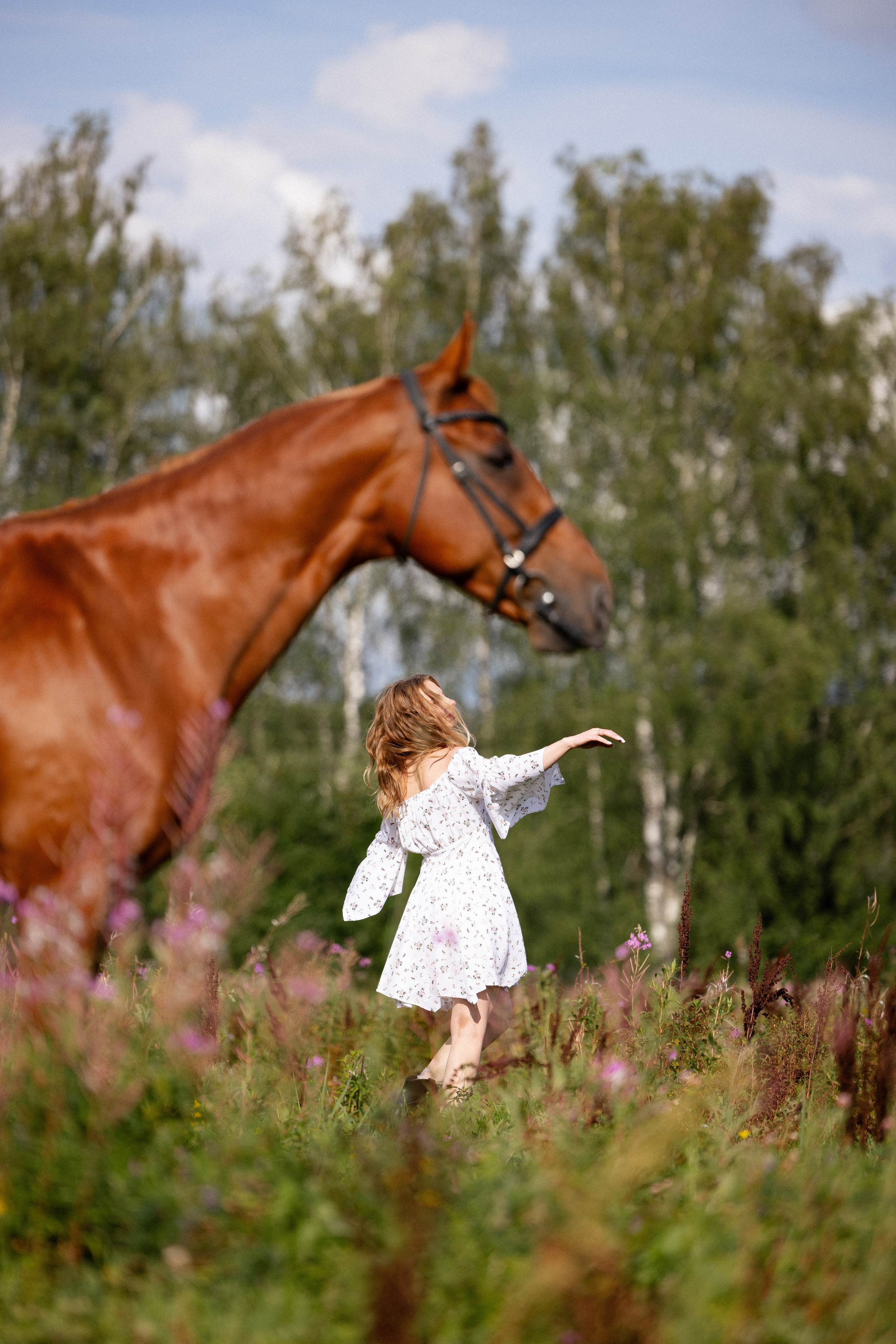 Мария и Реванш. Фотограф и видеограф анималист Аганина Дарья