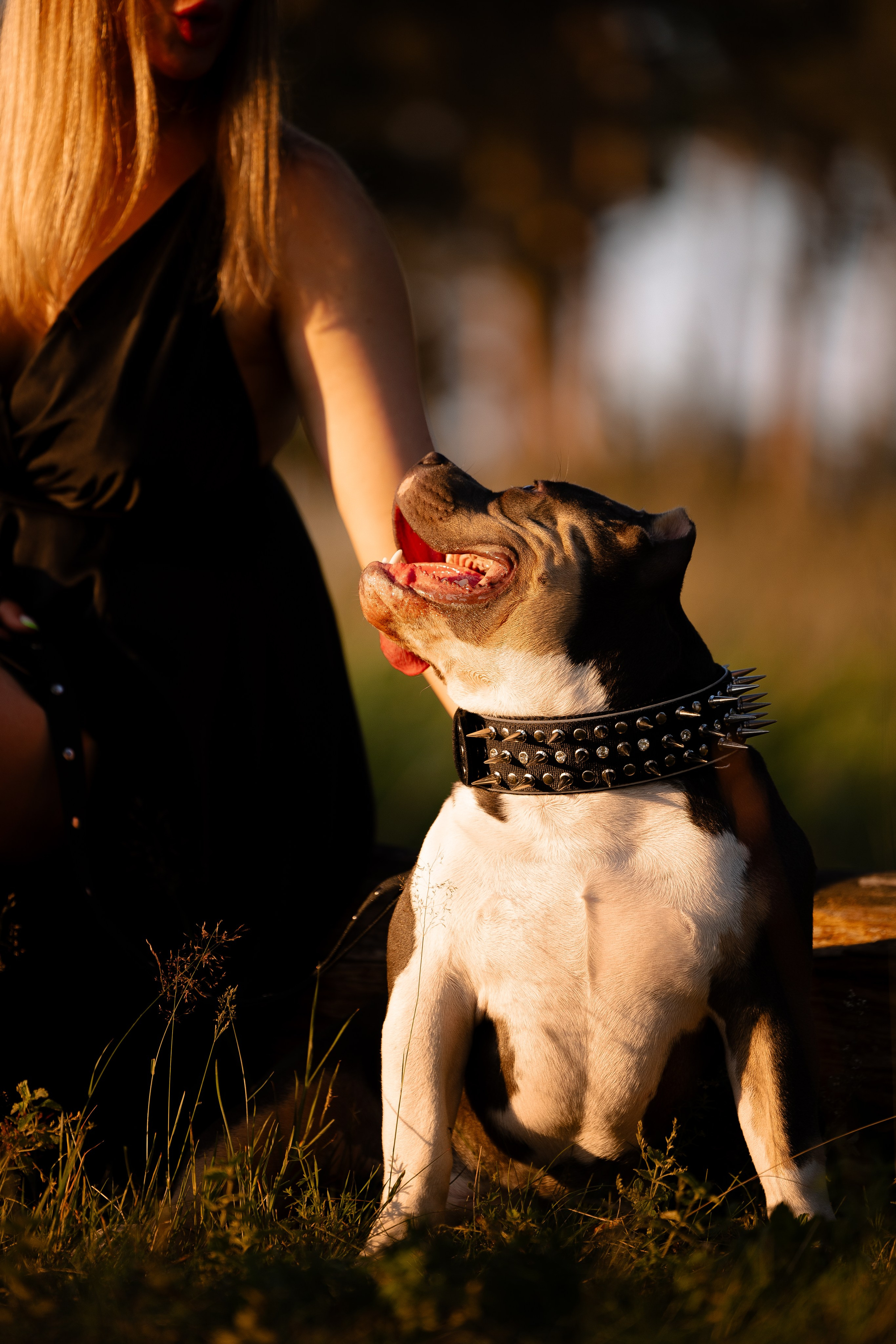 Валерия и Наган. Фотограф и видеограф анималист Аганина Дарья