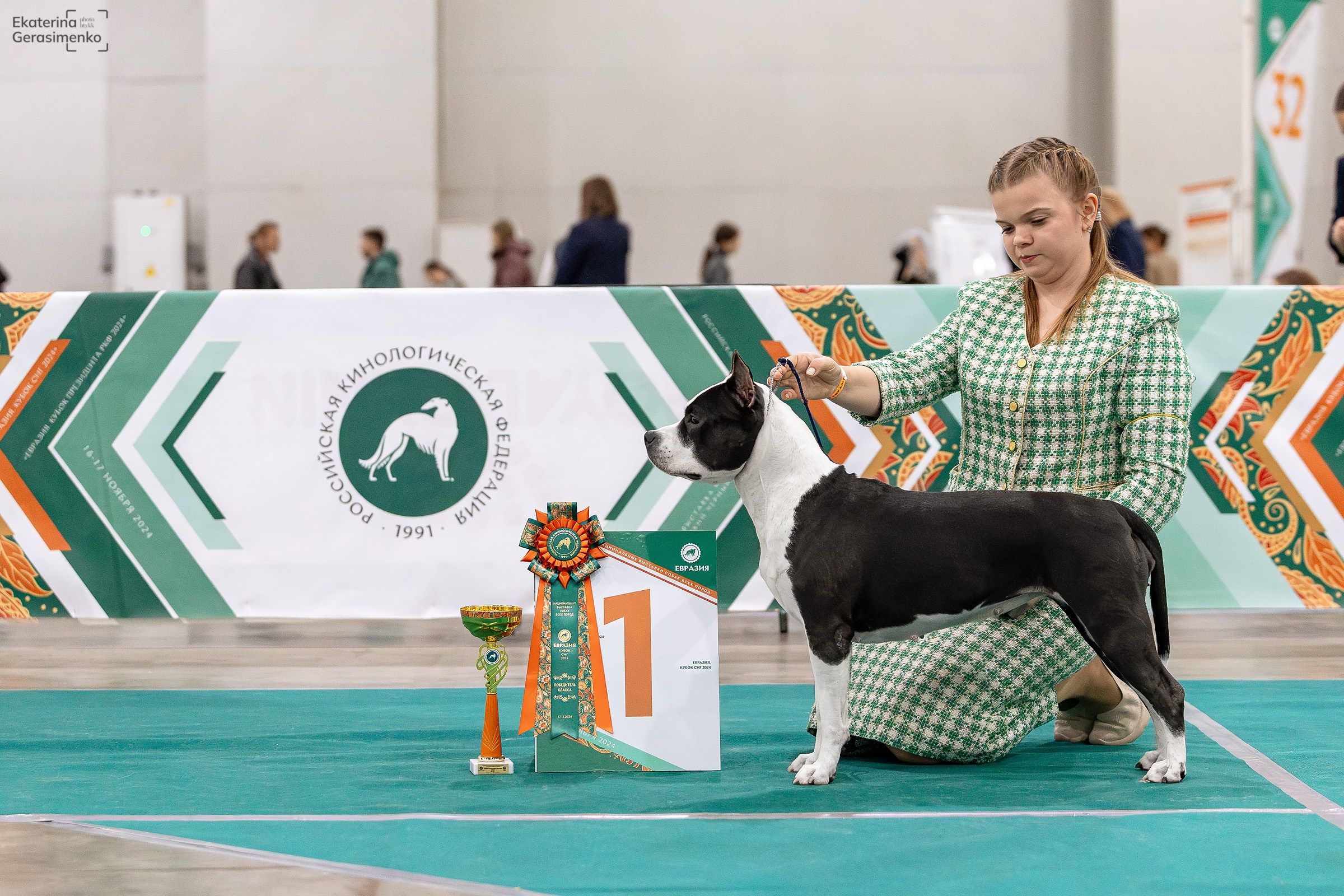 16–17 ноября 2024, Выставка ЕВРАЗИЯ, г. Москва. Htykk_photo