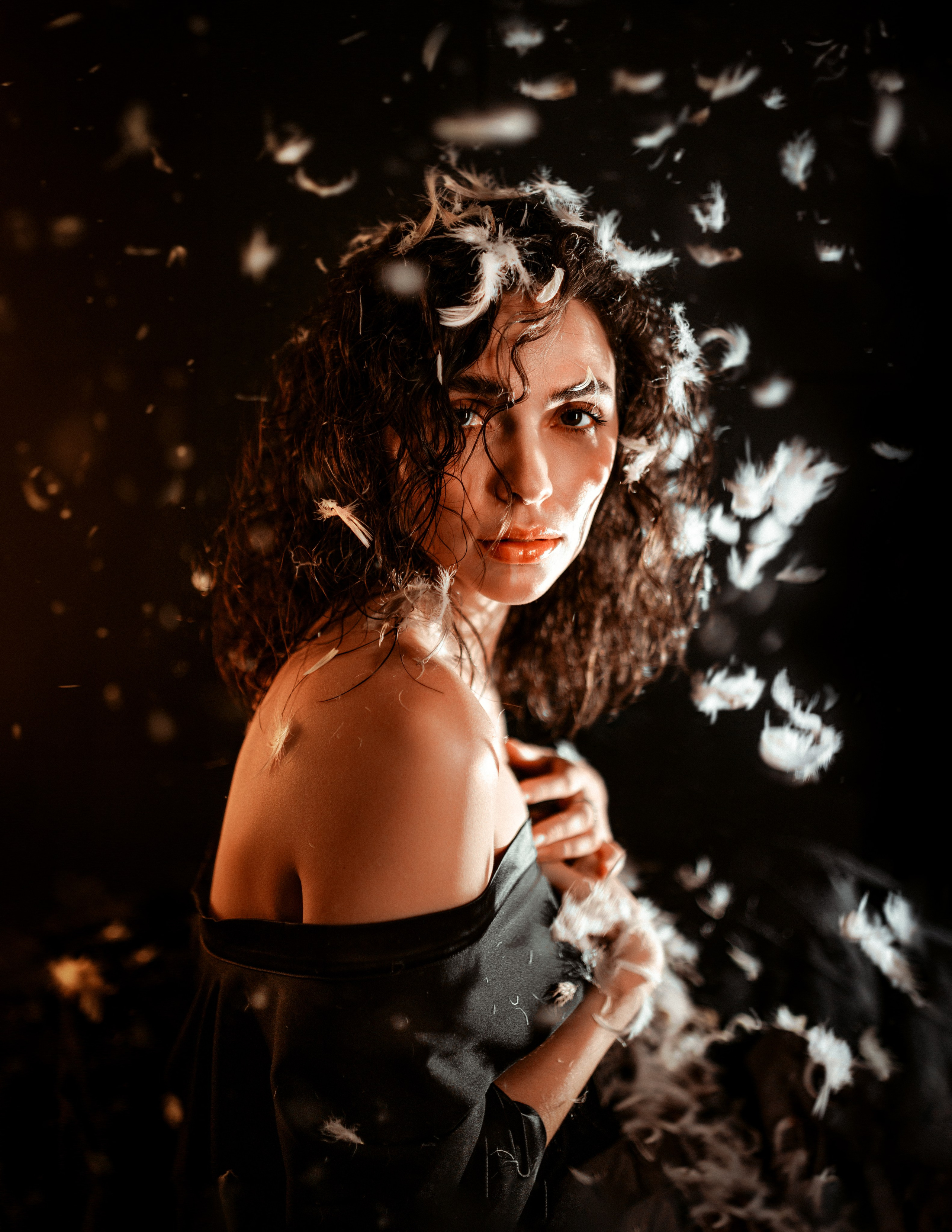 Авторский проект — Перья. Александр Атлес Фотограф