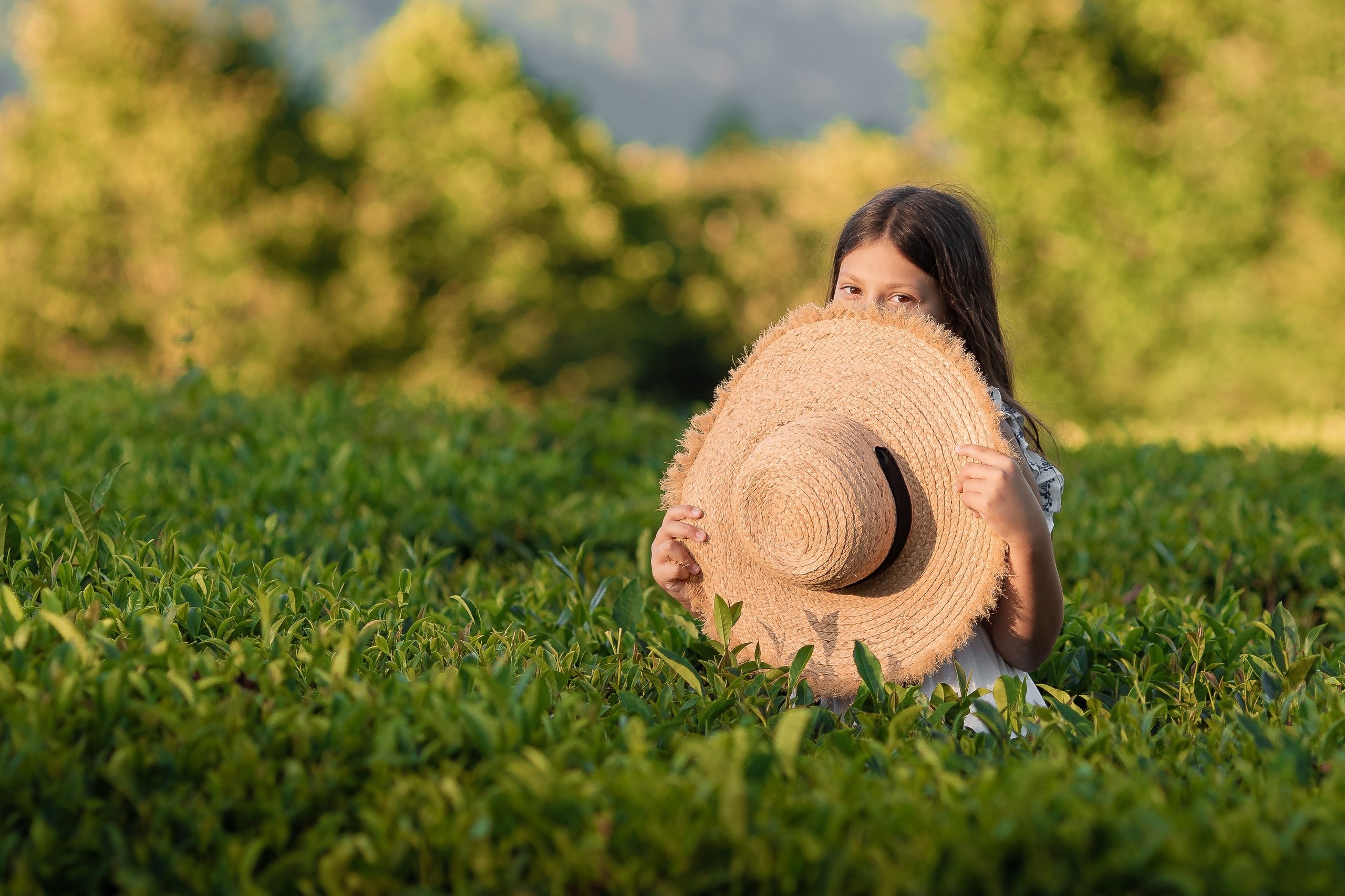Чайная плантация. Сочи. Семейный и детский фотограф в Краснодарском крае Натали Фищенко