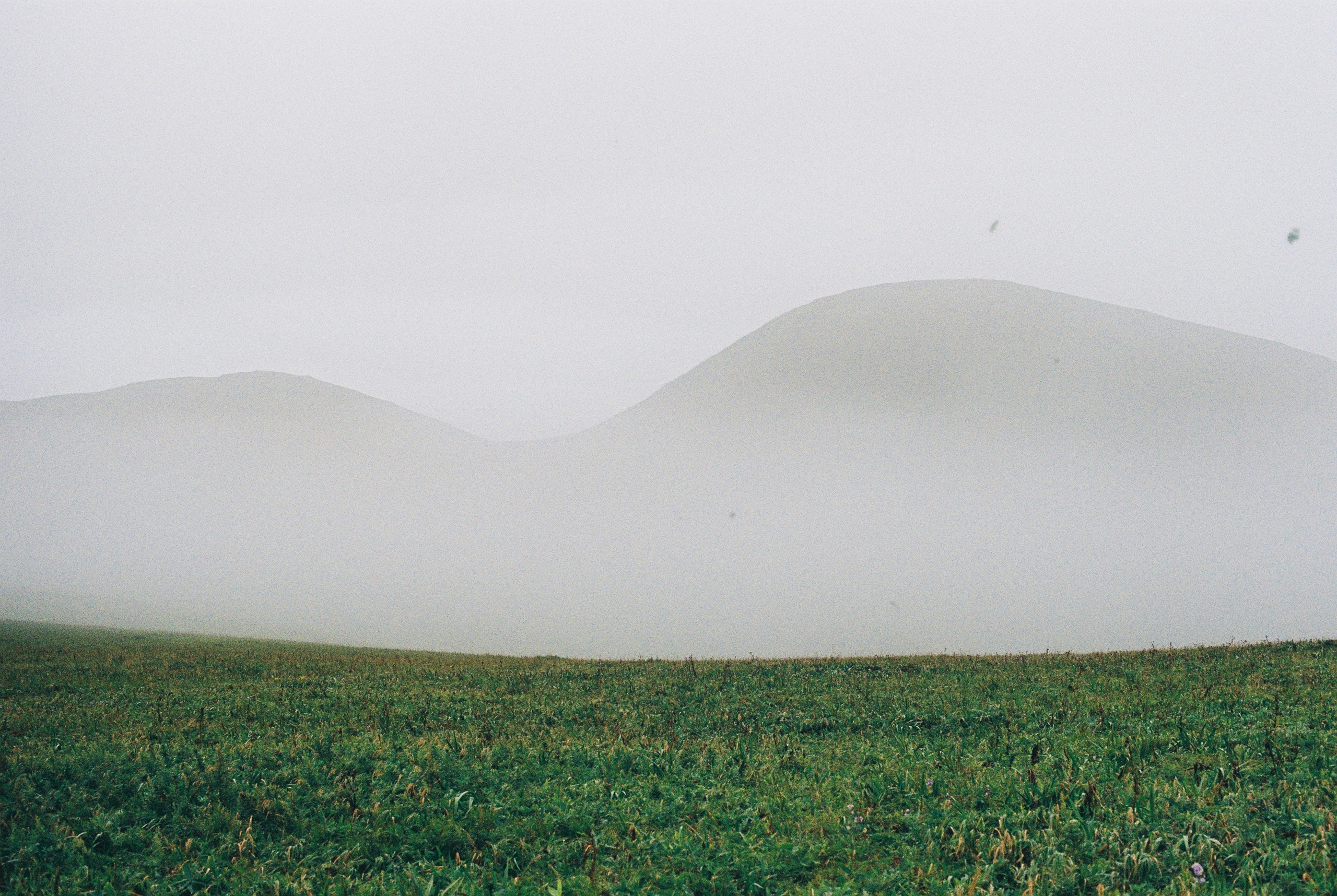 EXHIBITION. Репортажный и интерьерный фотограф, фотохудожник