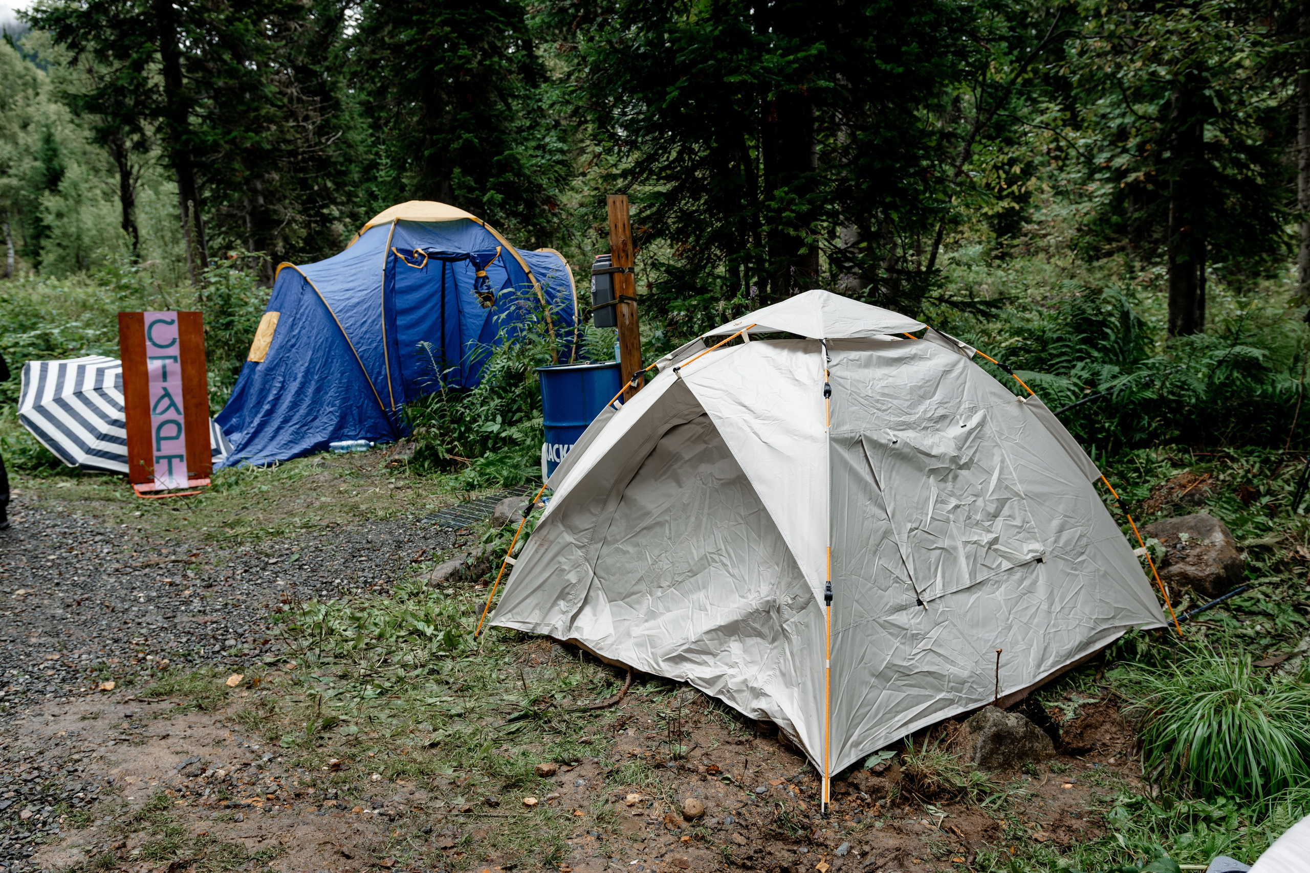 Дог-треккинг