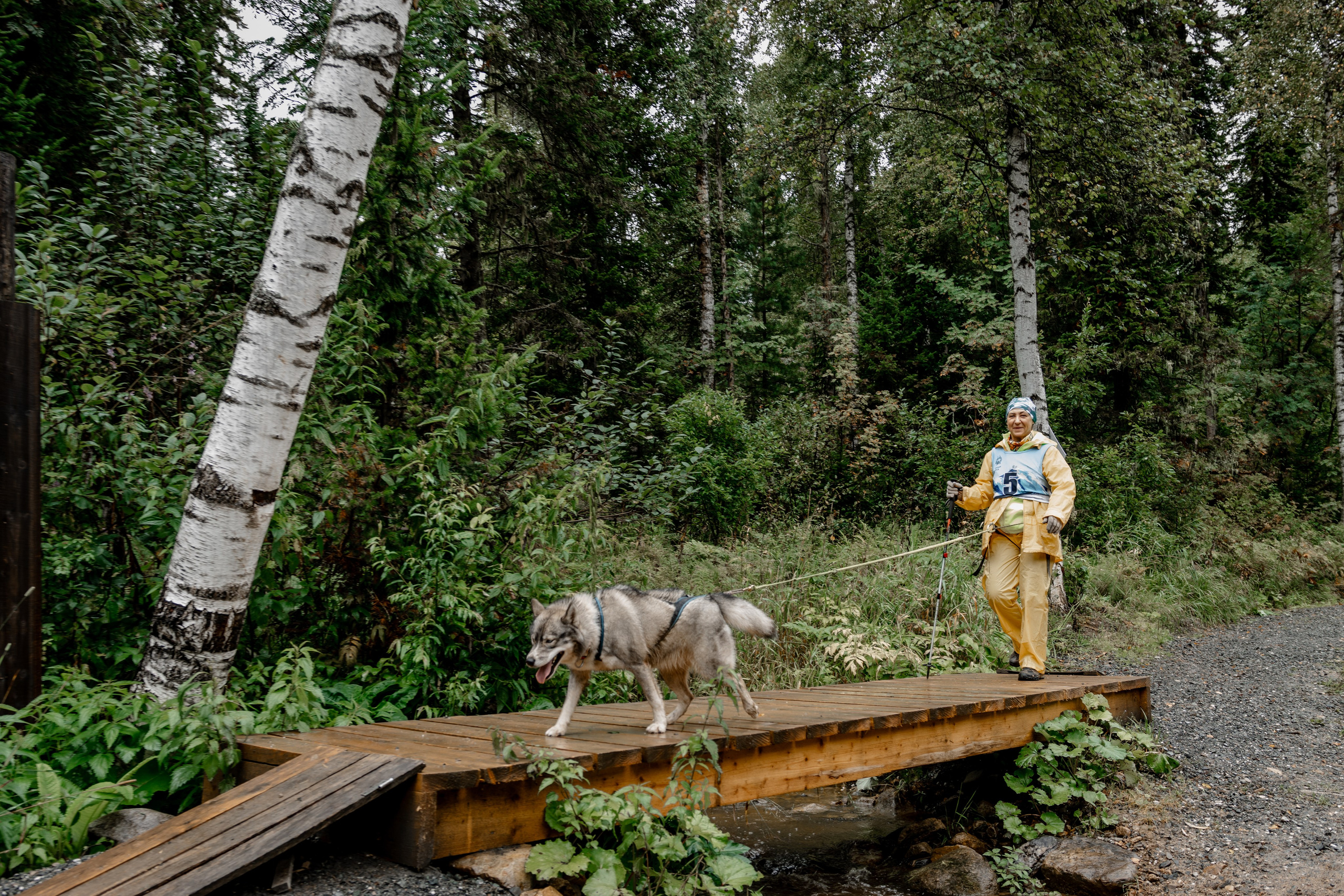 Дог-треккинг