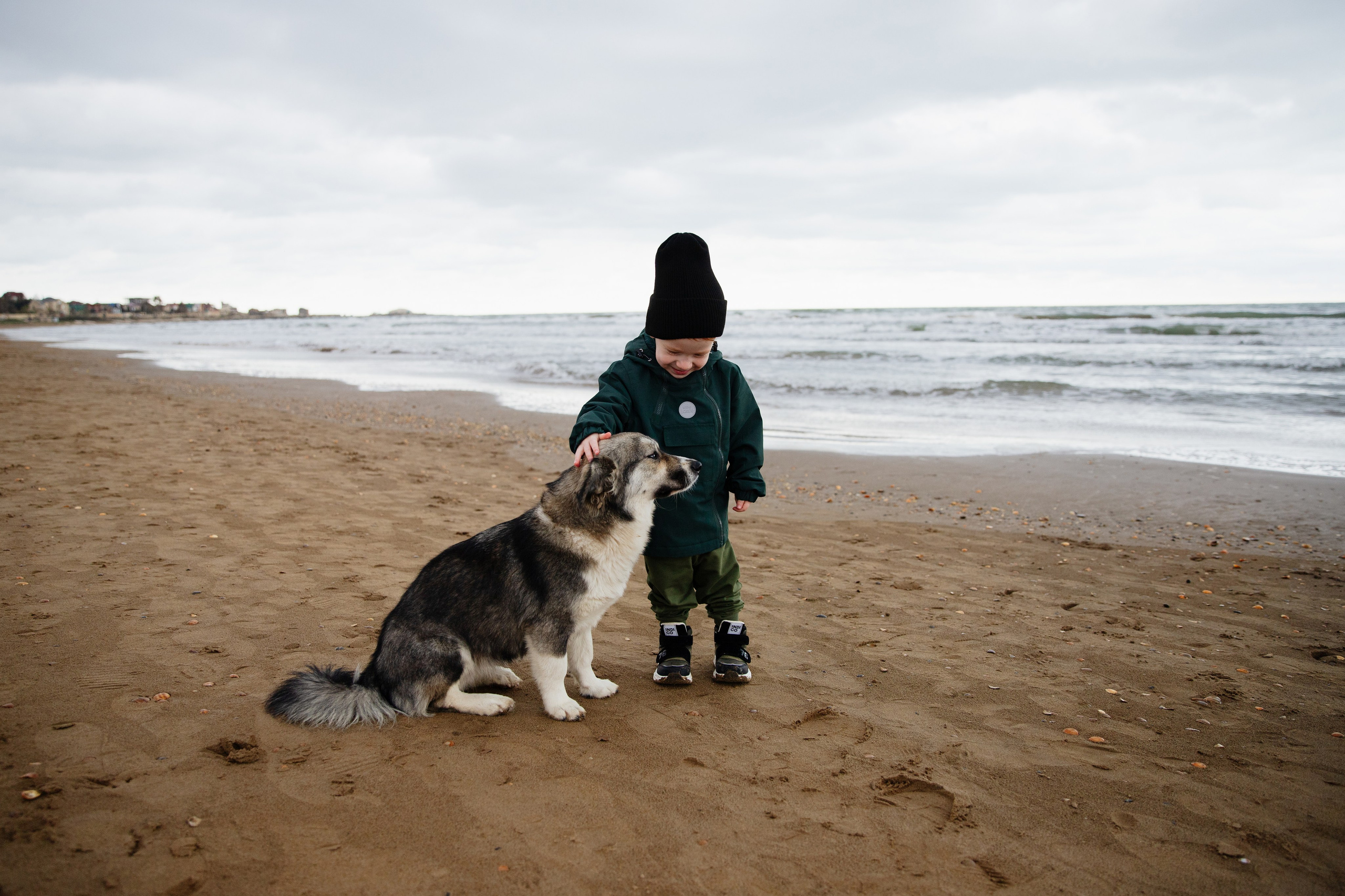 Семья Ланиных