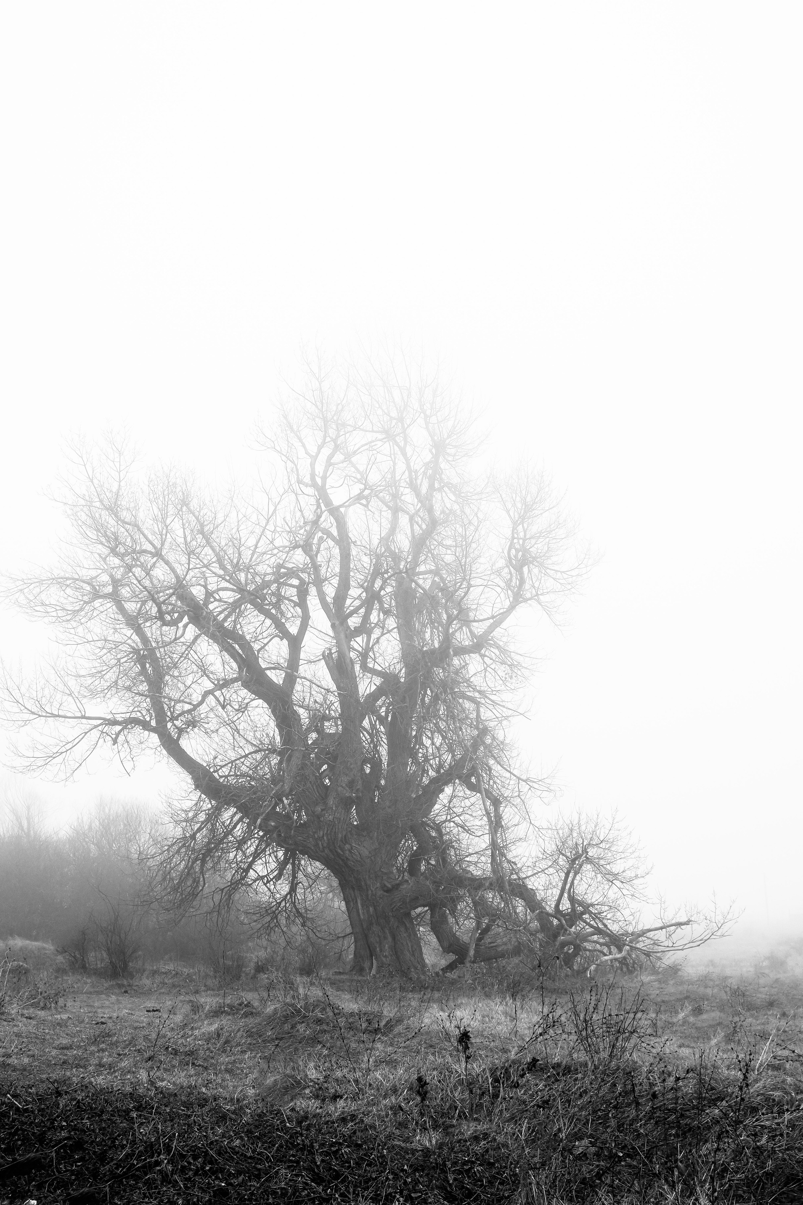 Тишина. Documentary photographer