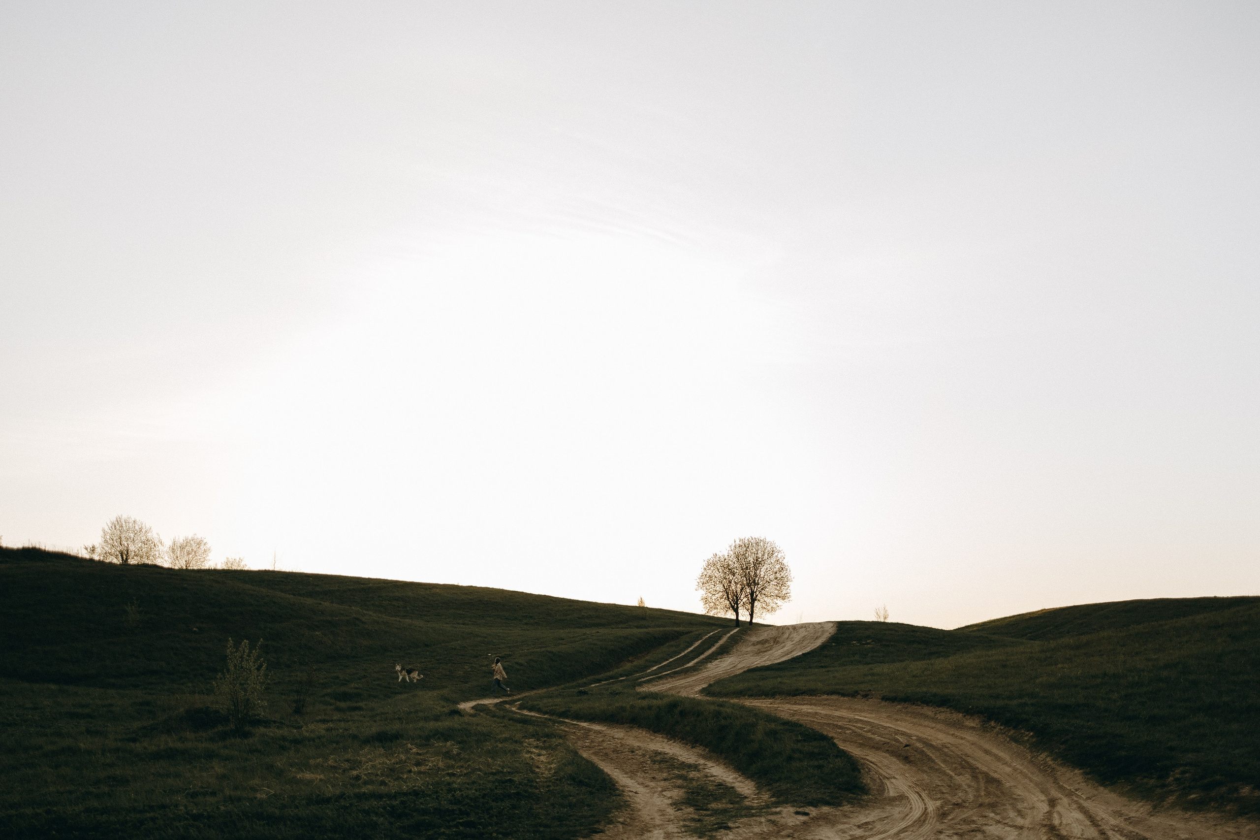 Саша и Зельда. Фотограф — Анималист | Санкт-Петербург