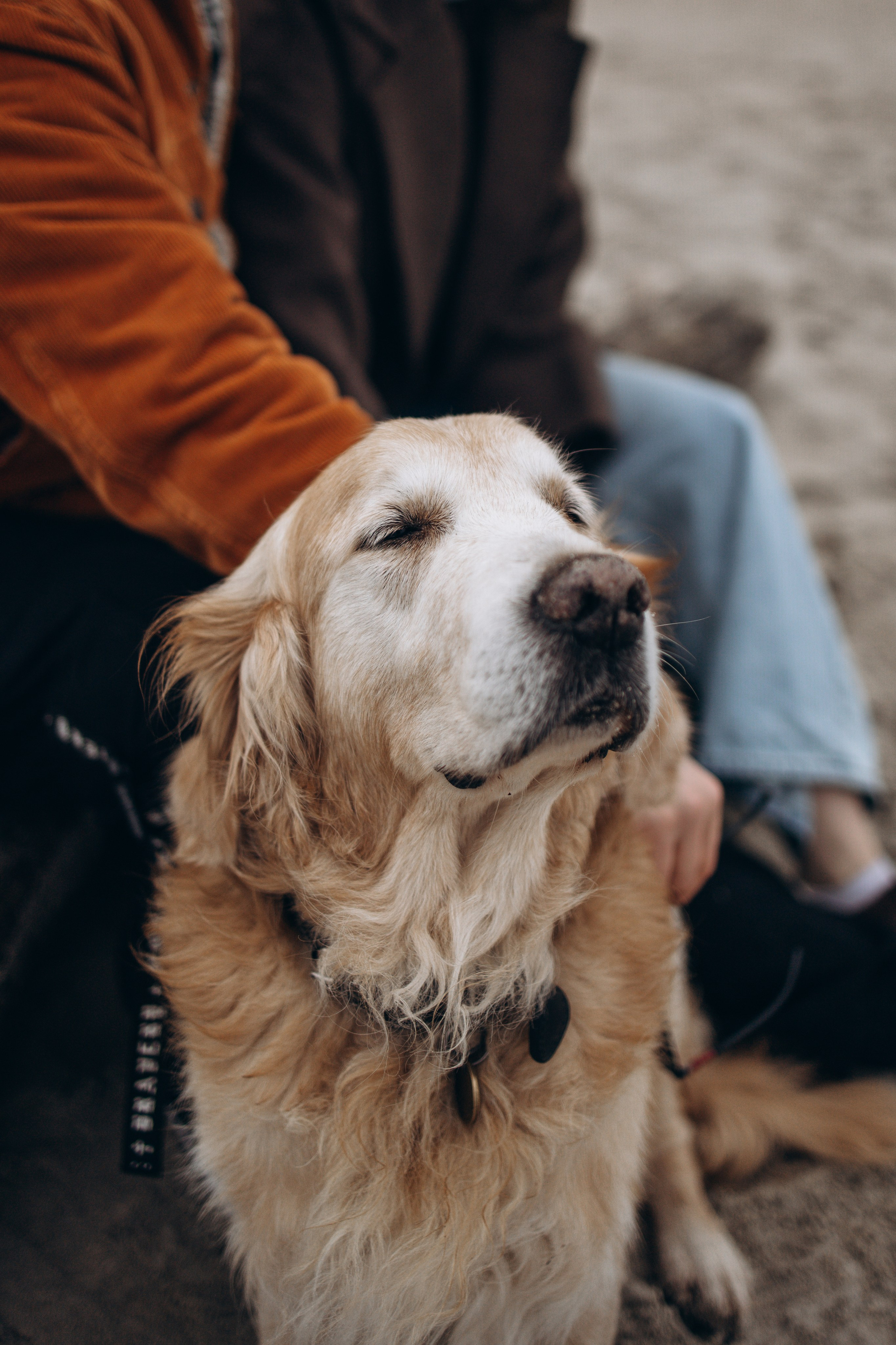 Юля и Максик. Фотограф — Анималист | Санкт-Петербург