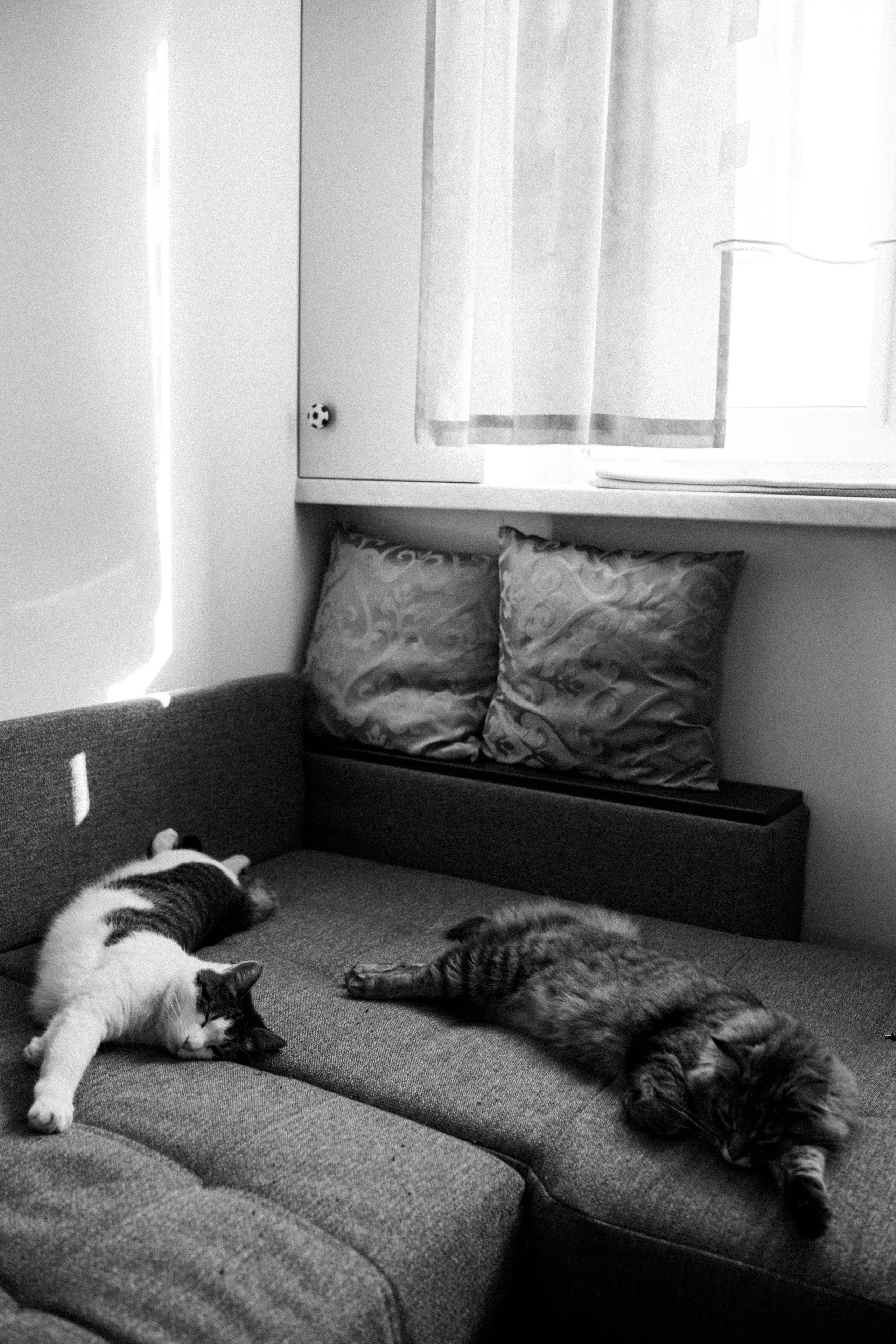 Тимофей и Александра. Профессиональный фотограф