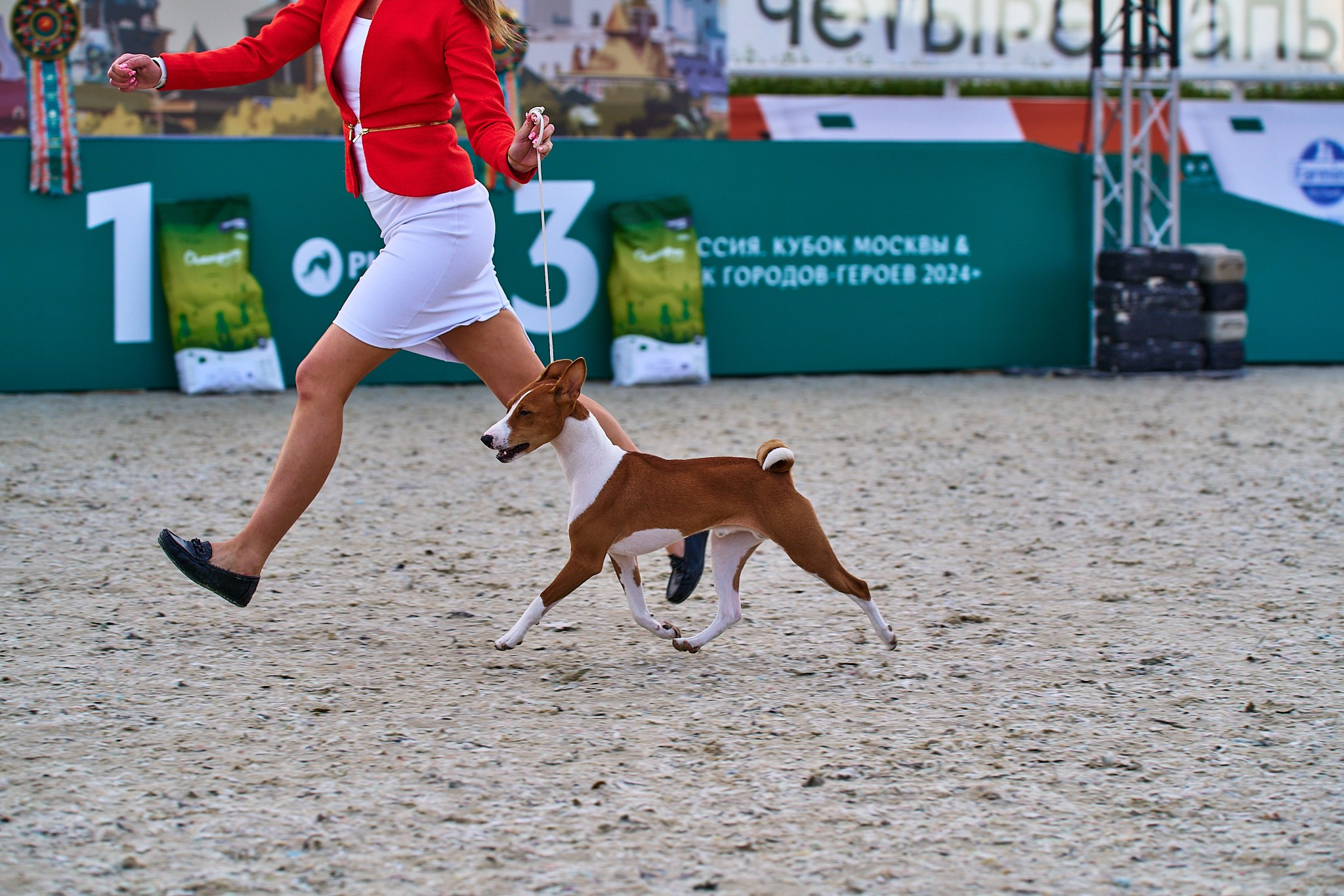 08.06.2024 «РОССИЯ. КУБОК РКФ 2024»