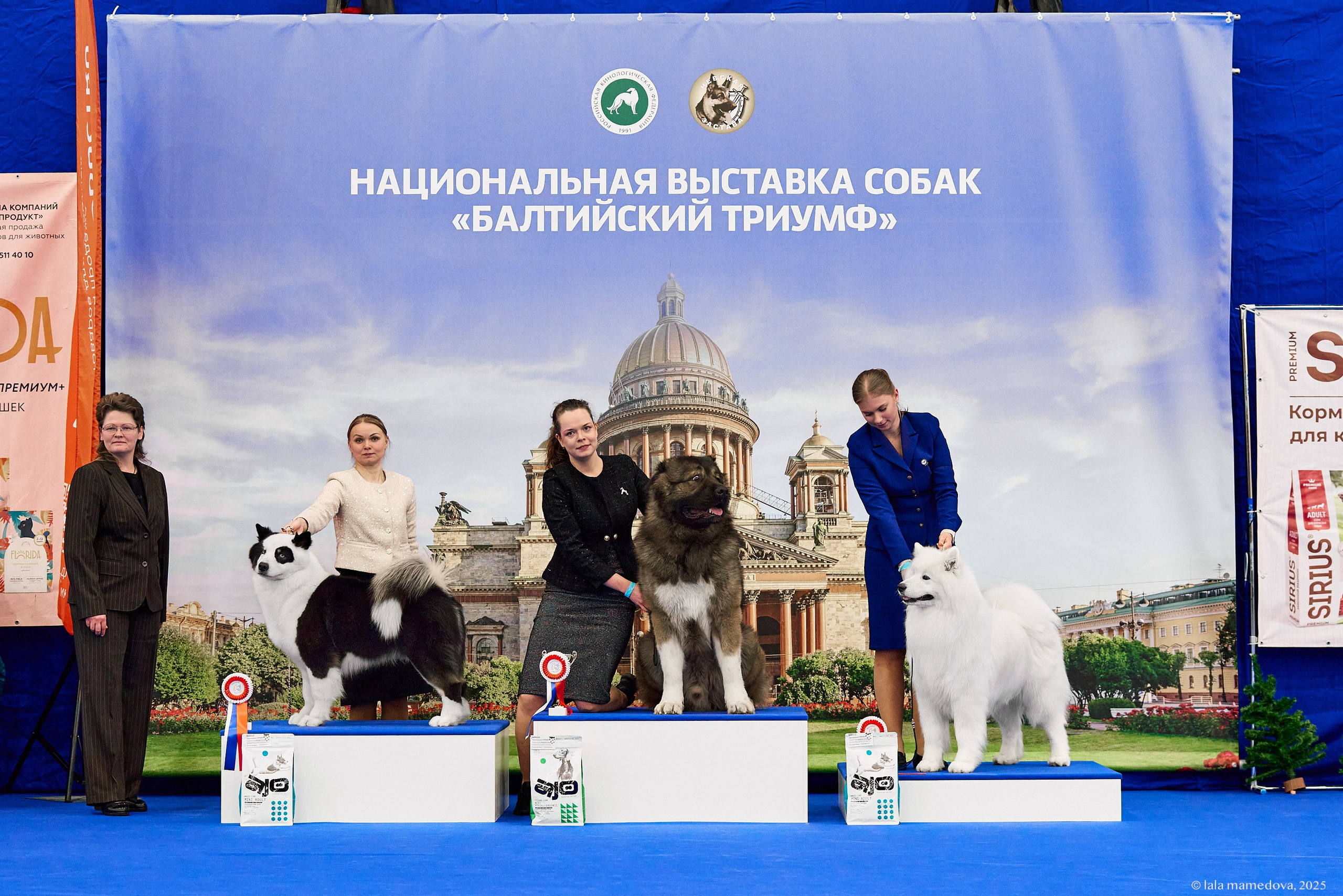 22-23 FEB 2025 | NATIONAL DOG SHOW «BALTIC TRIUMPH-2025»
