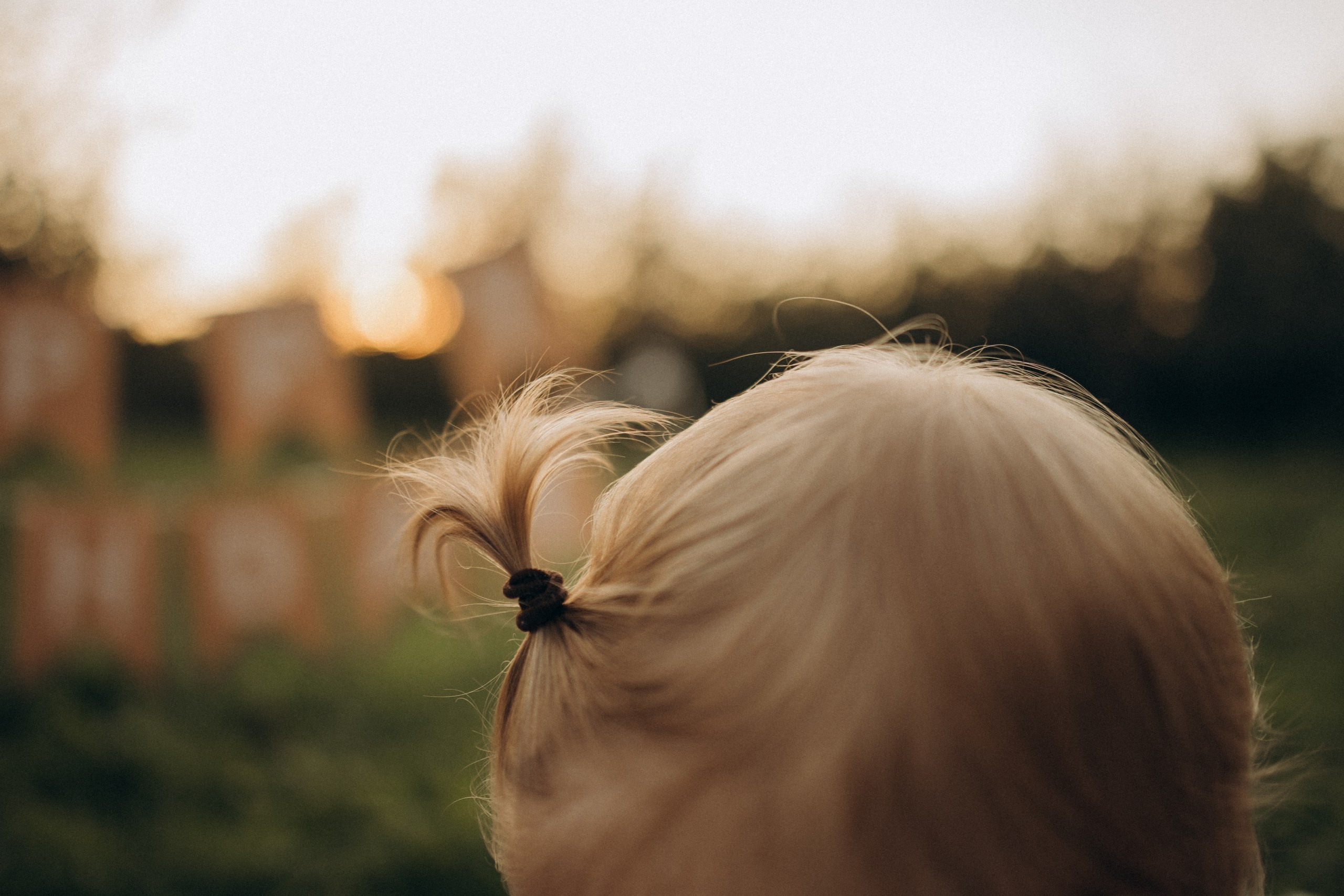Семейная фотосессия Москва, семейный фотограф в Москве, семейная фотосессия, детский фотограф, семейная фотосессия в парке, фотосессия с малышом, фотосессия годовасия, фотосессия в годик, семейная фотосессия в Мещерском, осенняя фотосессия
