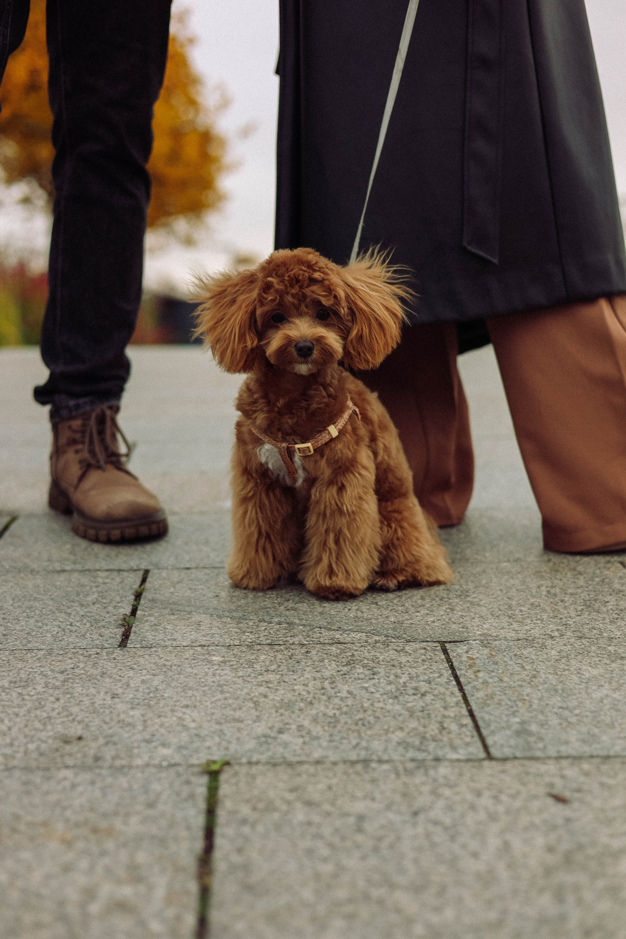 Кира. Фотограф в Москве Анастасия Калинина
