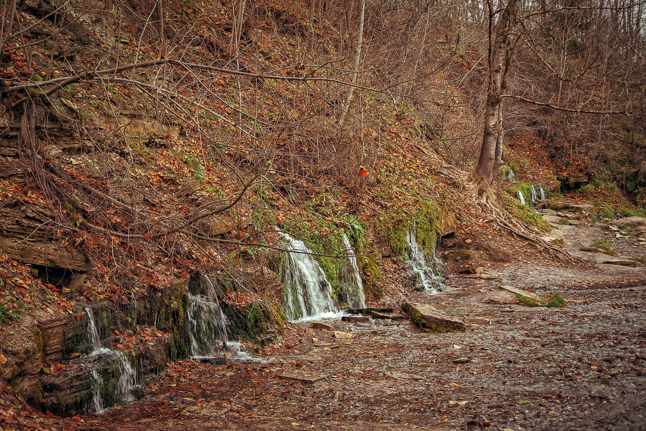 Изборск. Семейный и детский фотограф в Москве Ольга Кривенцова