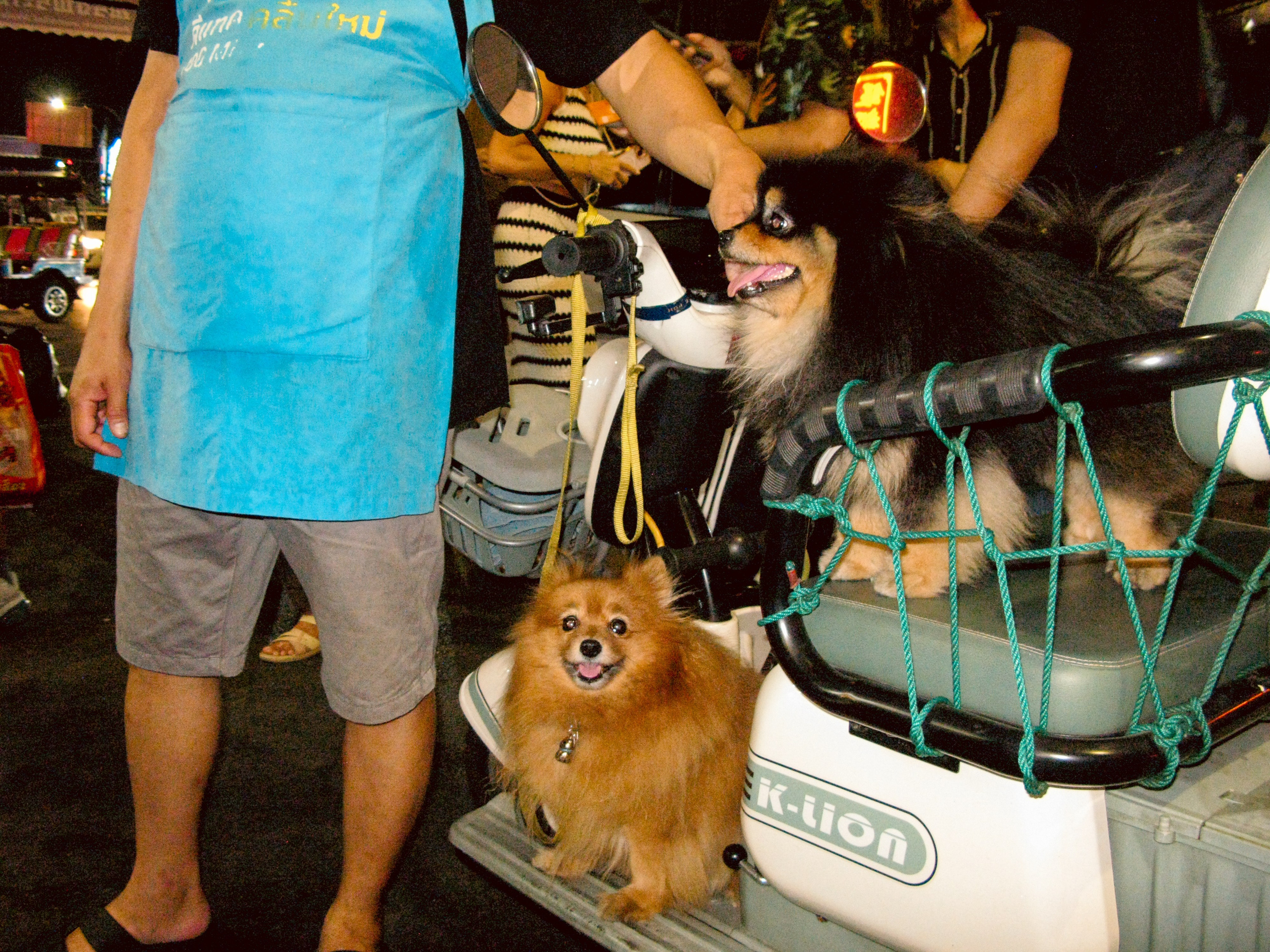 Thai. Фотограф Миланазавр