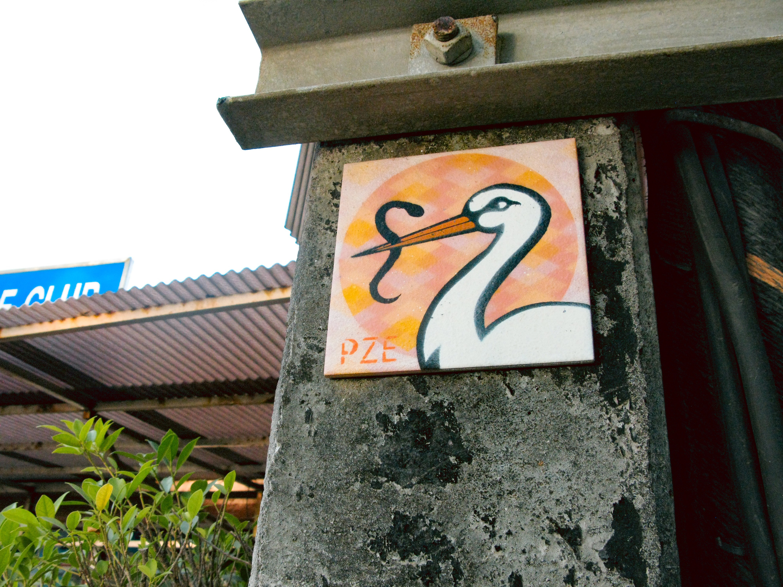 Thai. Фотограф Миланазавр