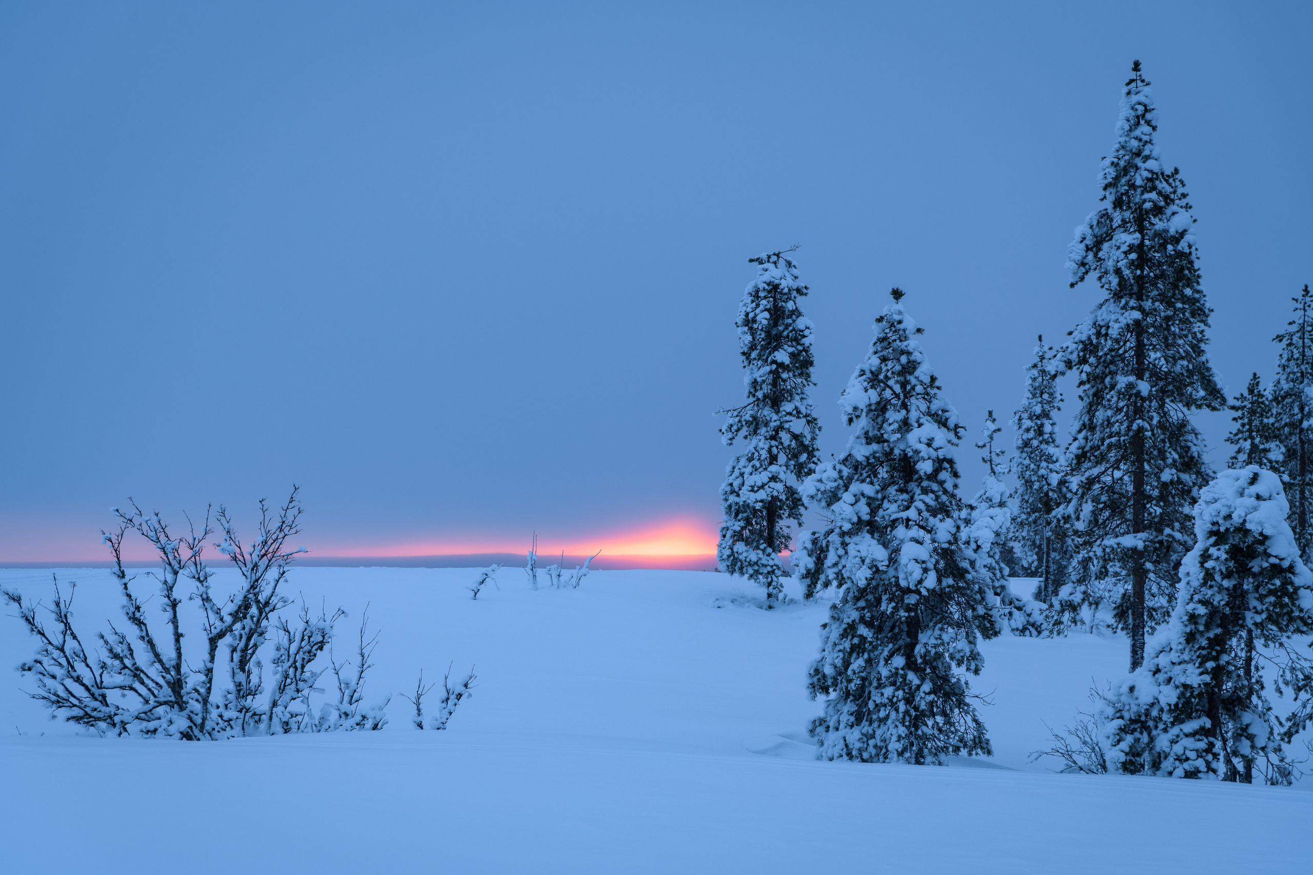 Зима. Северные Ночи