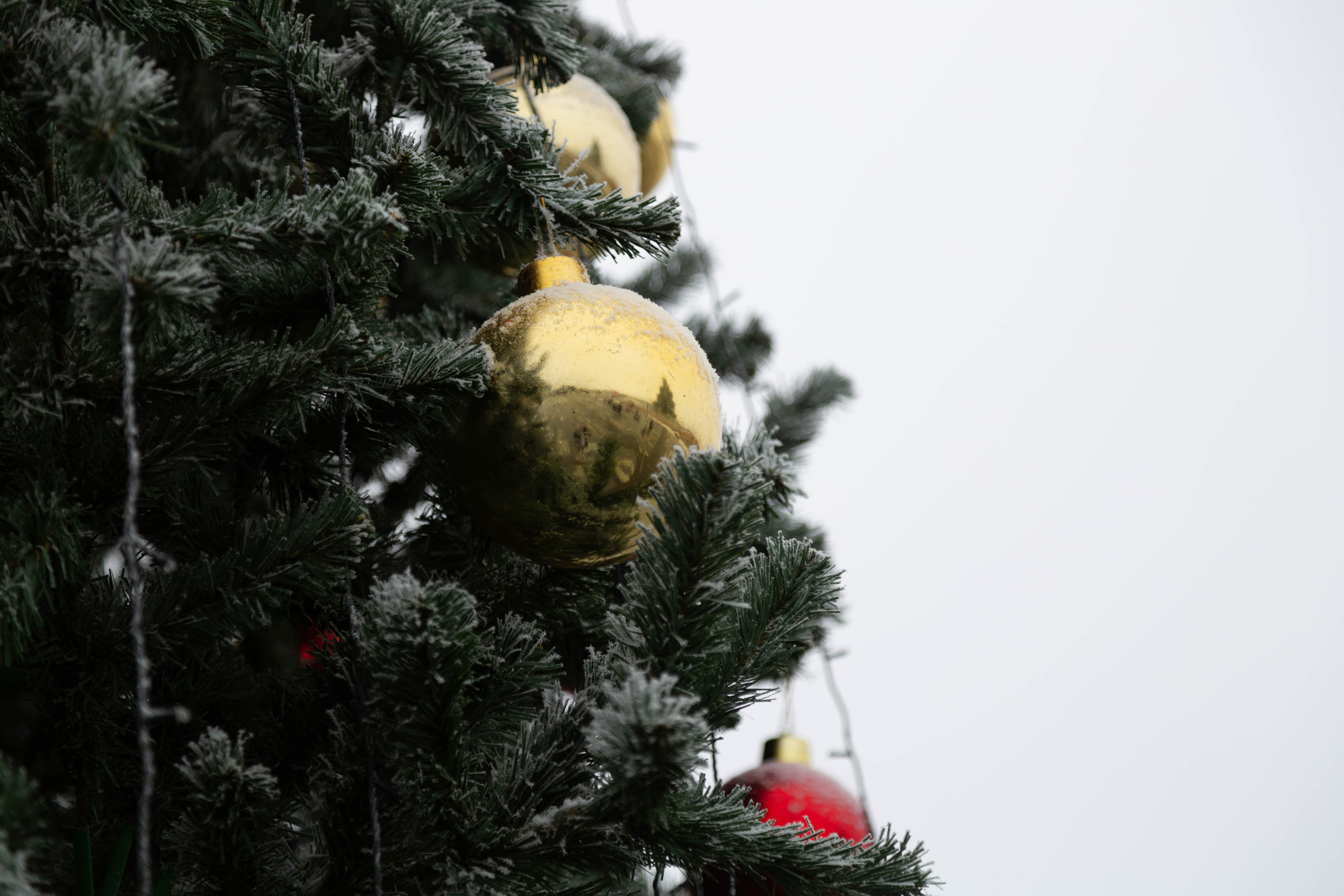 Репортажное портфолио. Александр Халявин Фотограф Москва