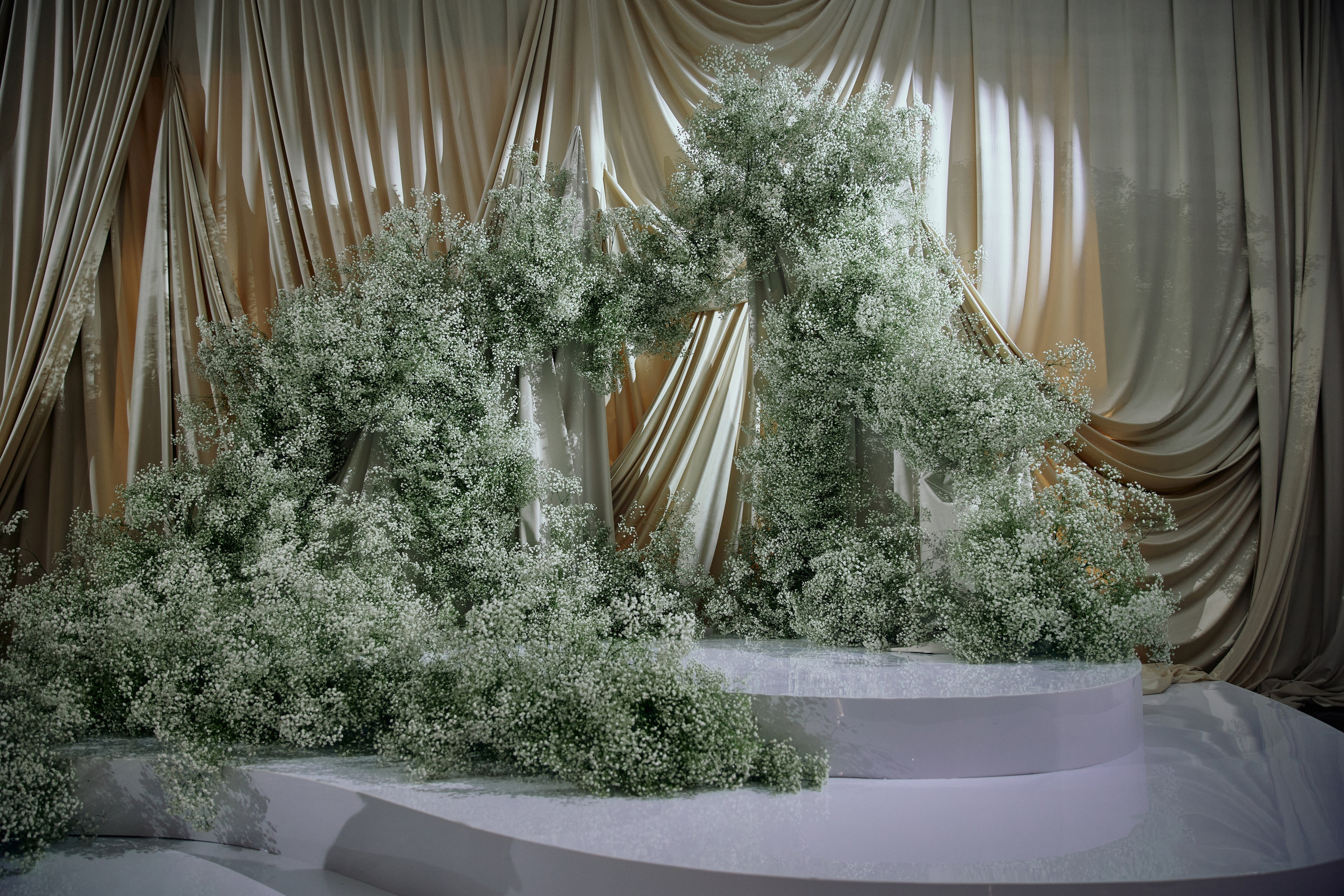 FANYA CARD DECOR. Дмитрий Мазуркевич: Профессиональный Репортажный Фотограф