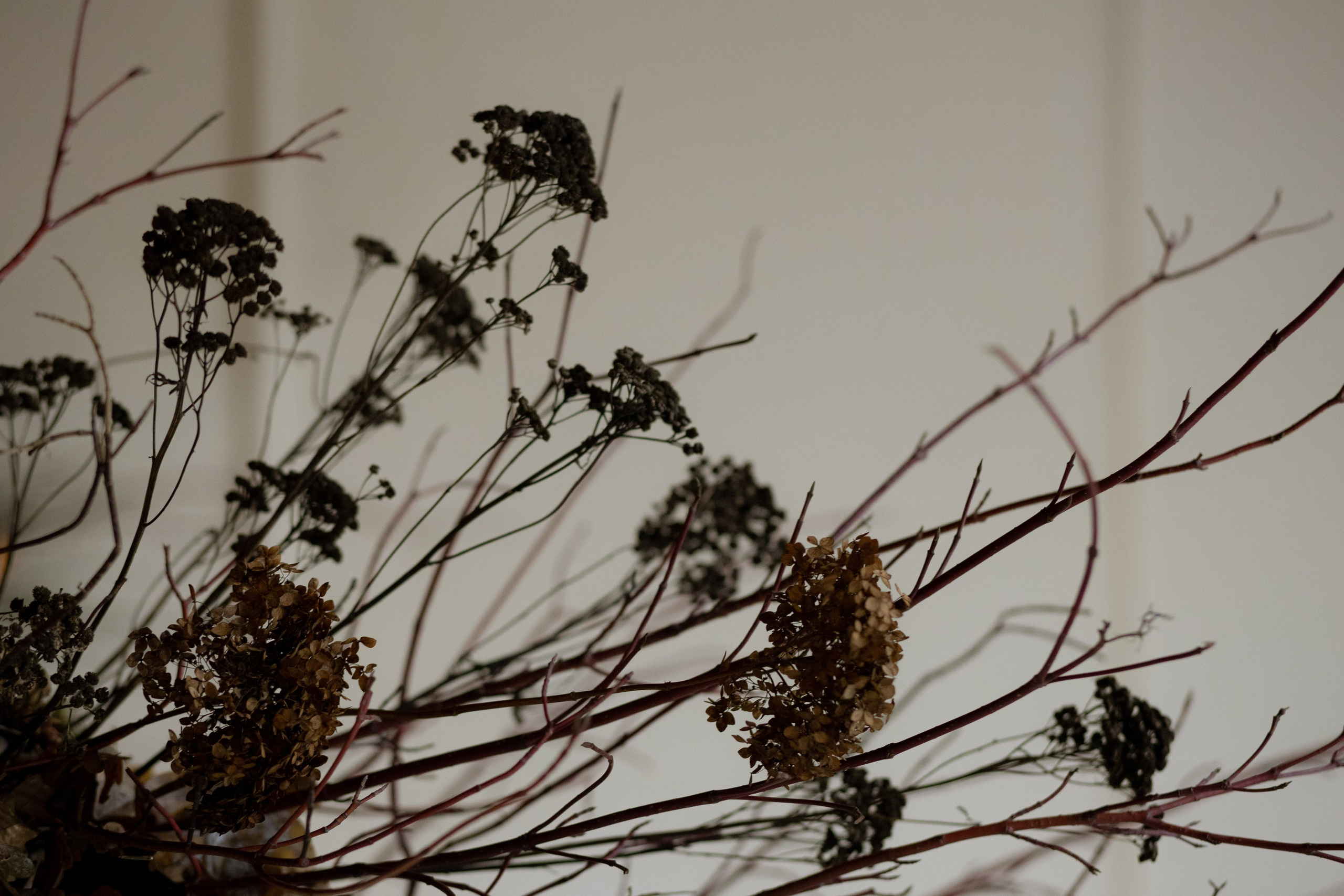 Оформление IX Международного конкурса пианистов имени Д. Д. Шостаковича. Оформление свадеб, декор свадеб Вера Маркова, Москва