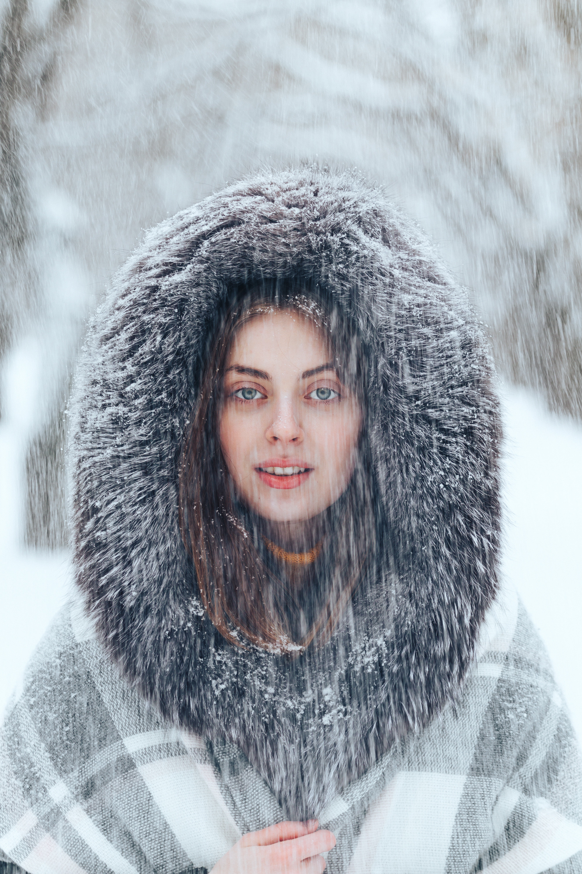 Зима. Фотограф в Санкт-Петербурге Роман Петров