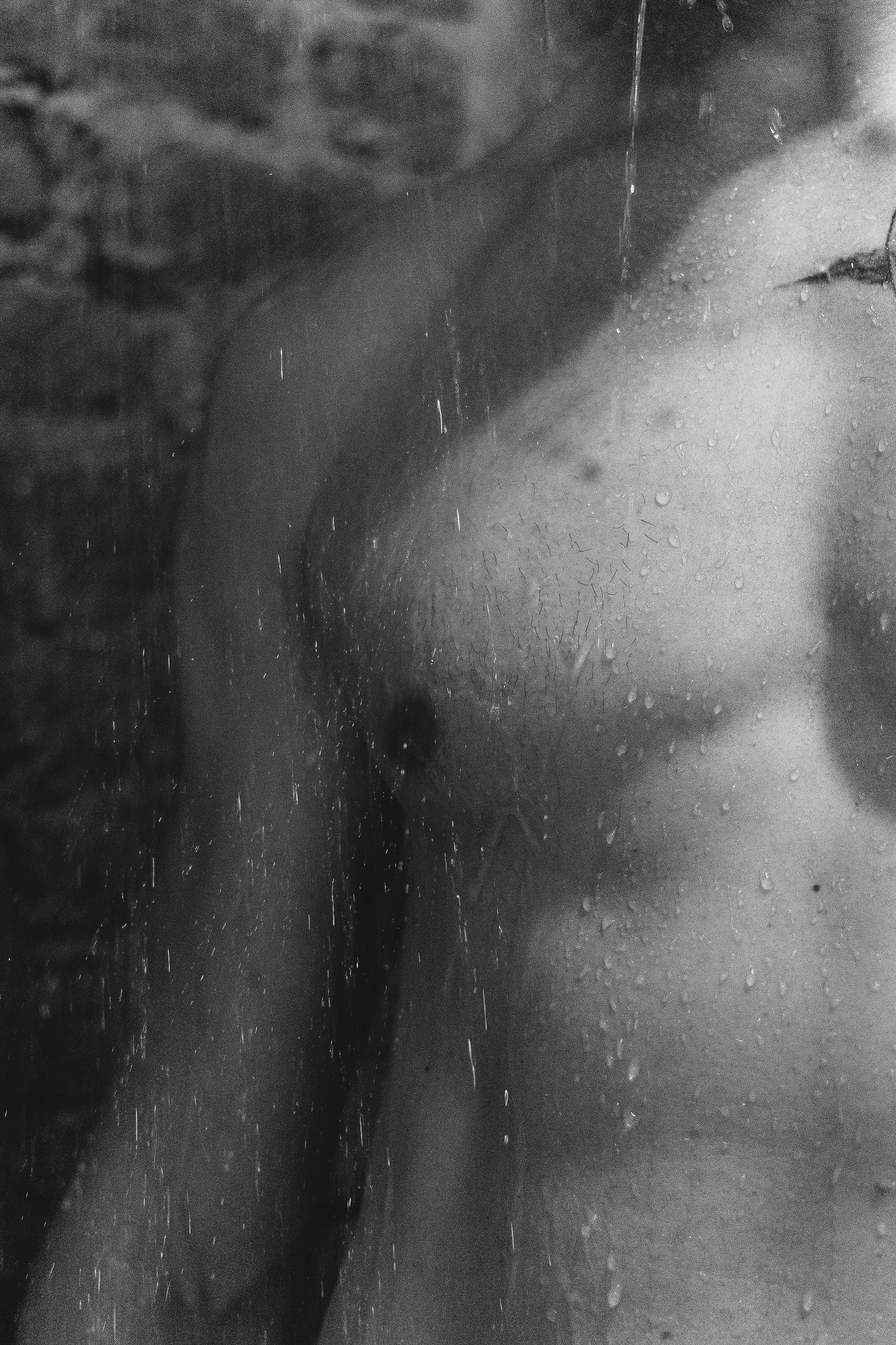 Alex. Фотограф в Санкт-Петербурге Роман Петров