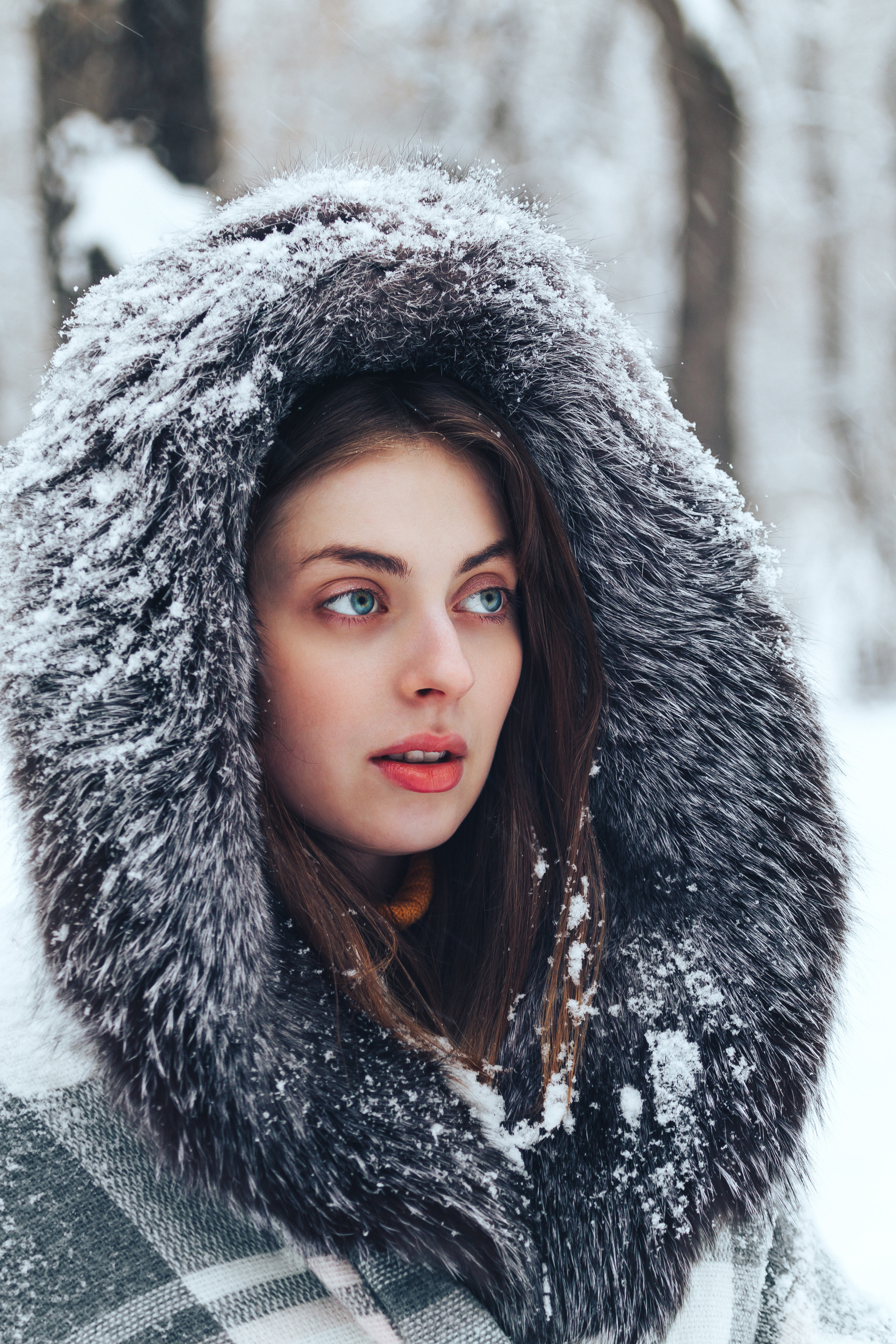 Зима. Фотограф в Санкт-Петербурге Роман Петров