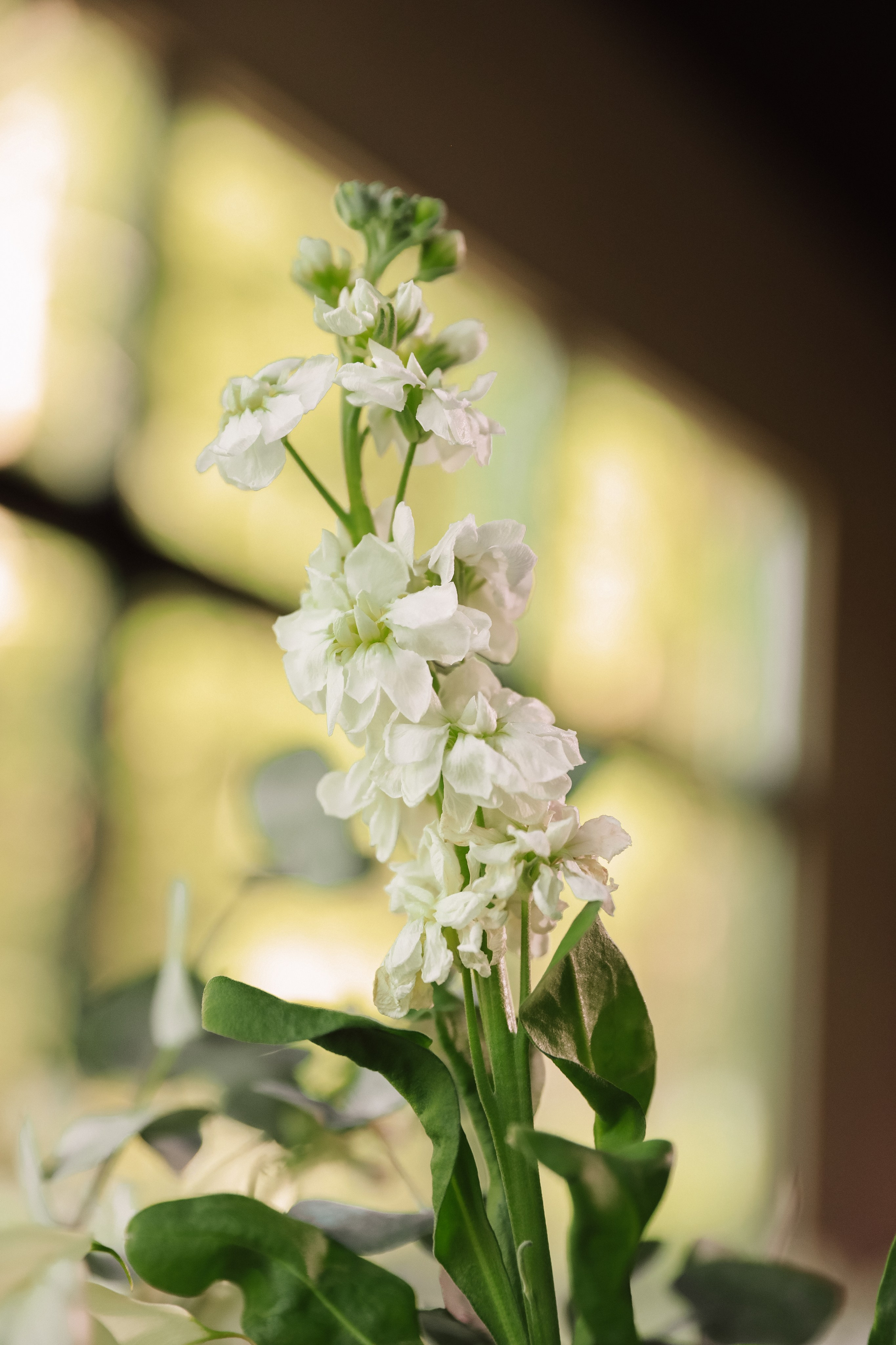 Кирилл и Софья. MK Event — организация мероприятий в Екатеринбурге