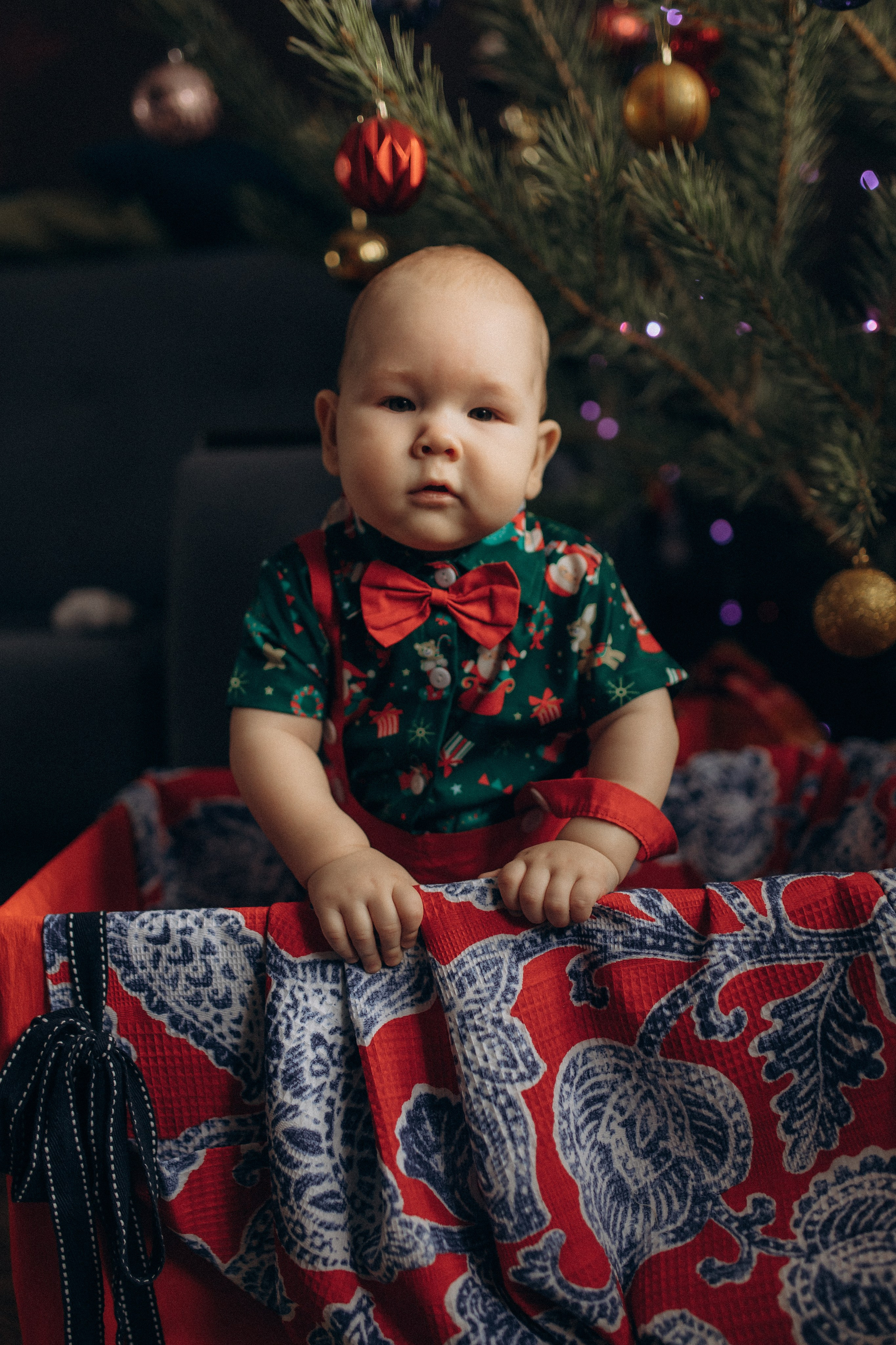 Твой первый Новый год. Семейный, свадебный фотограф в Чите Екатерина Мельникова
