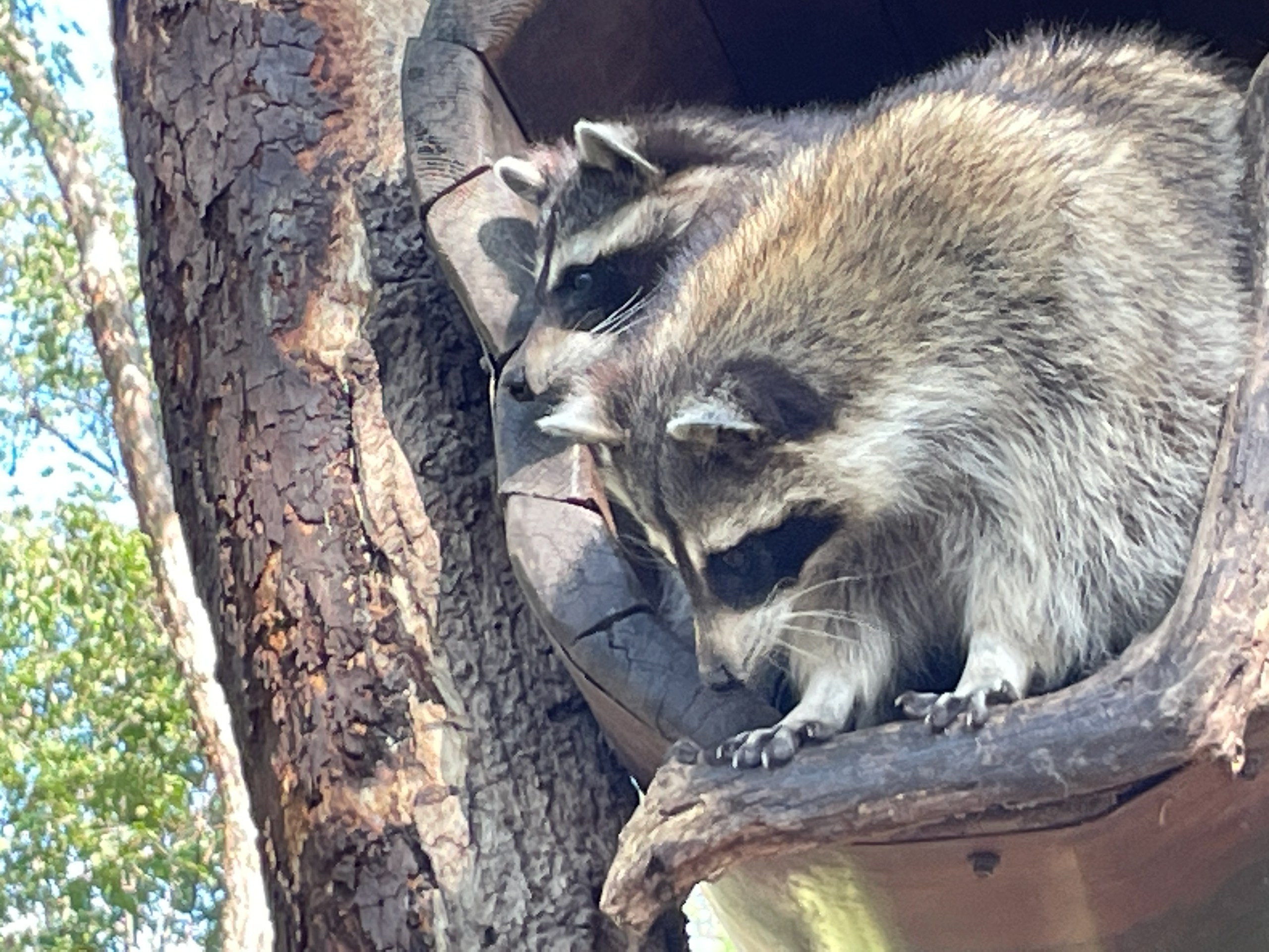 Владивосток 1 | 18-21.09.2025. Галерея Фантим